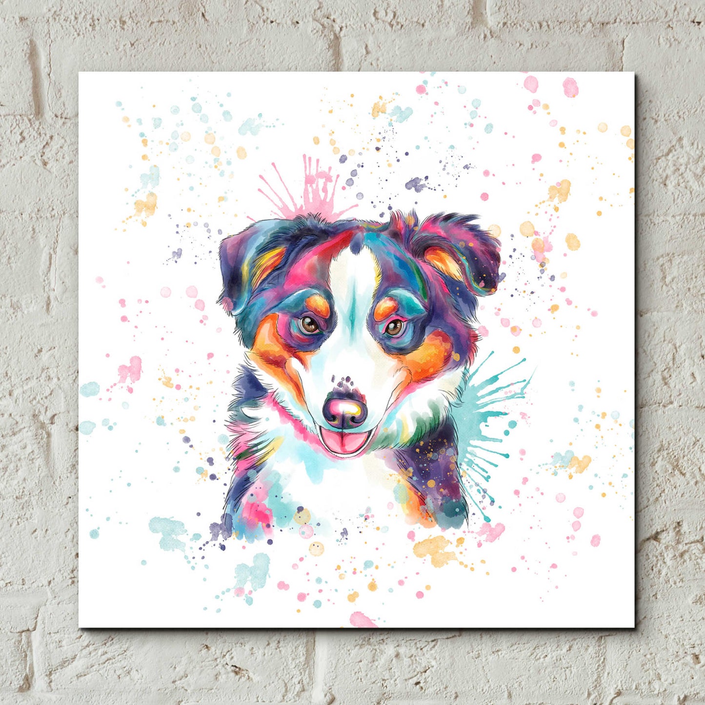 Epic Art 'Colorful Watercolor Australian Shepherd' by Furbaby Affiliates, Acrylic Glass Wall Art,12x12