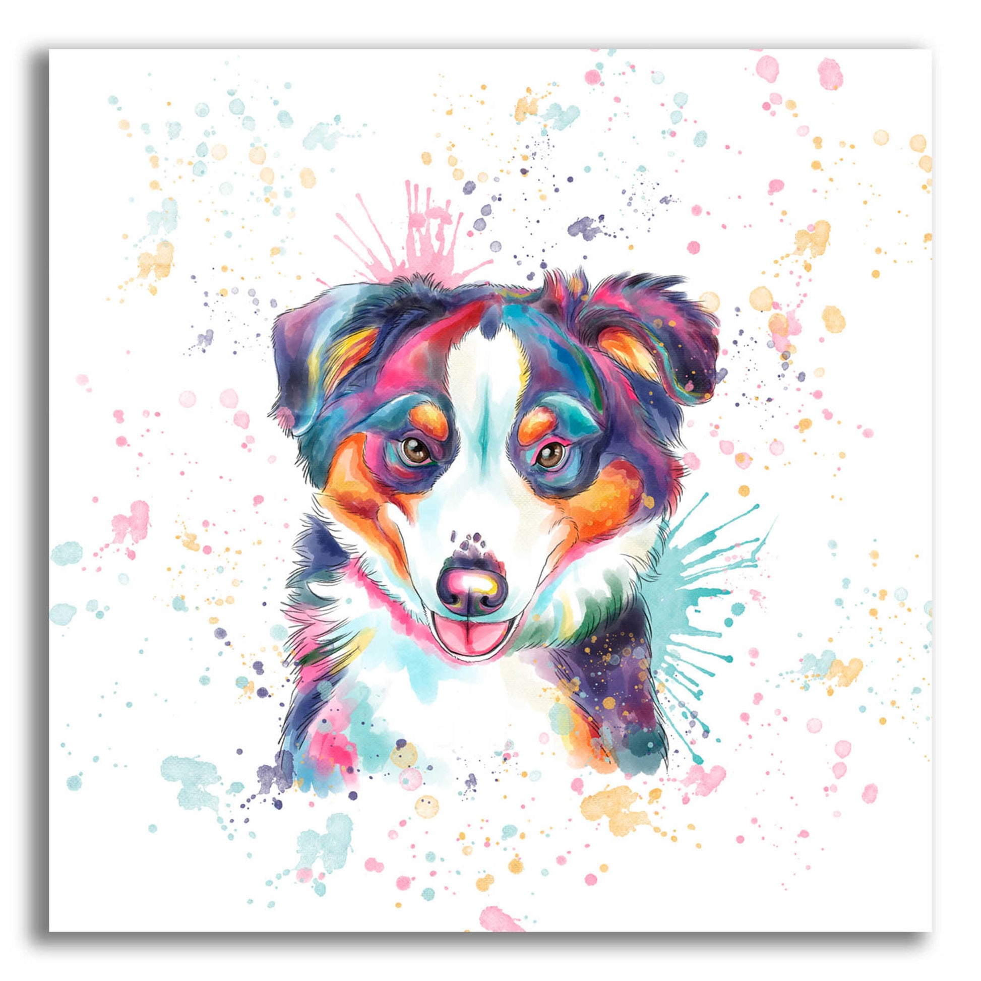 Epic Art 'Colorful Watercolor Australian Shepherd' by Furbaby Affiliates, Acrylic Glass Wall Art,12x12