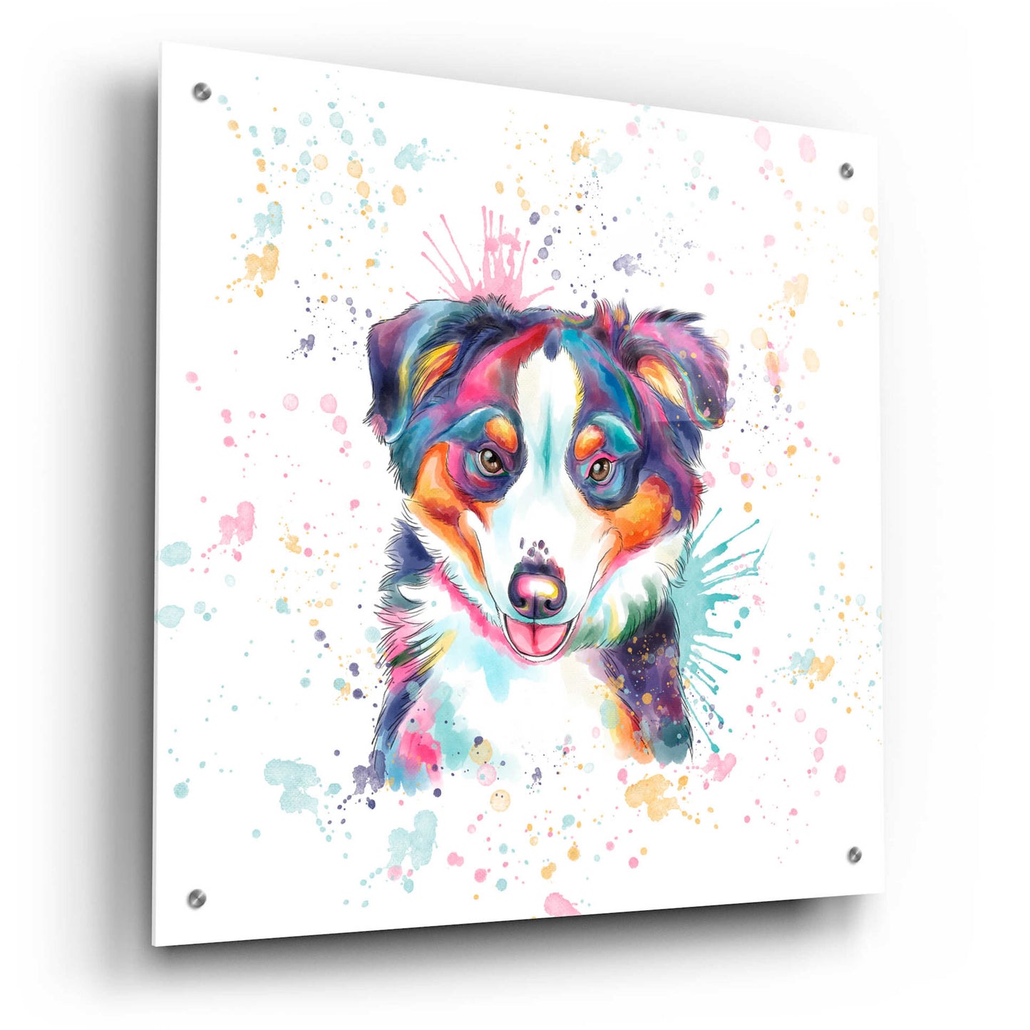 Epic Art 'Colorful Watercolor Australian Shepherd' by Furbaby Affiliates, Acrylic Glass Wall Art,24x24