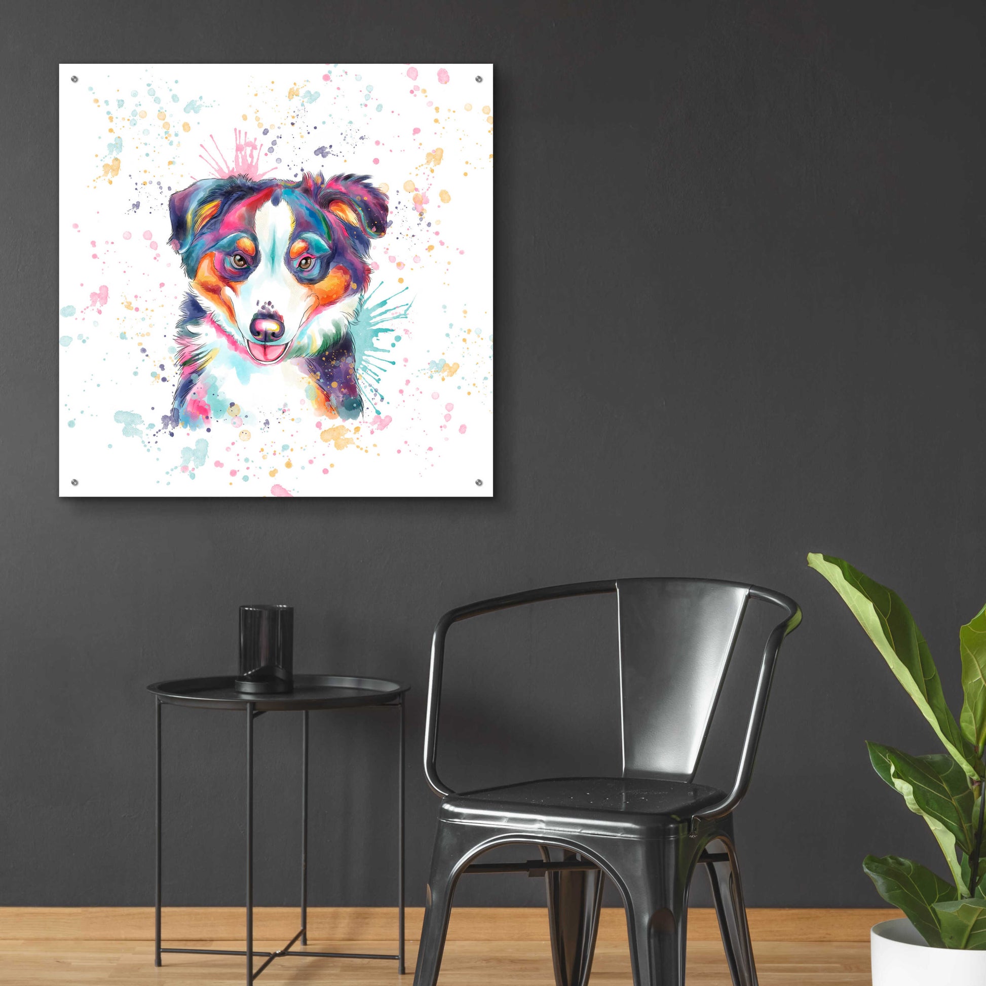 Epic Art 'Colorful Watercolor Australian Shepherd' by Furbaby Affiliates, Acrylic Glass Wall Art,36x36