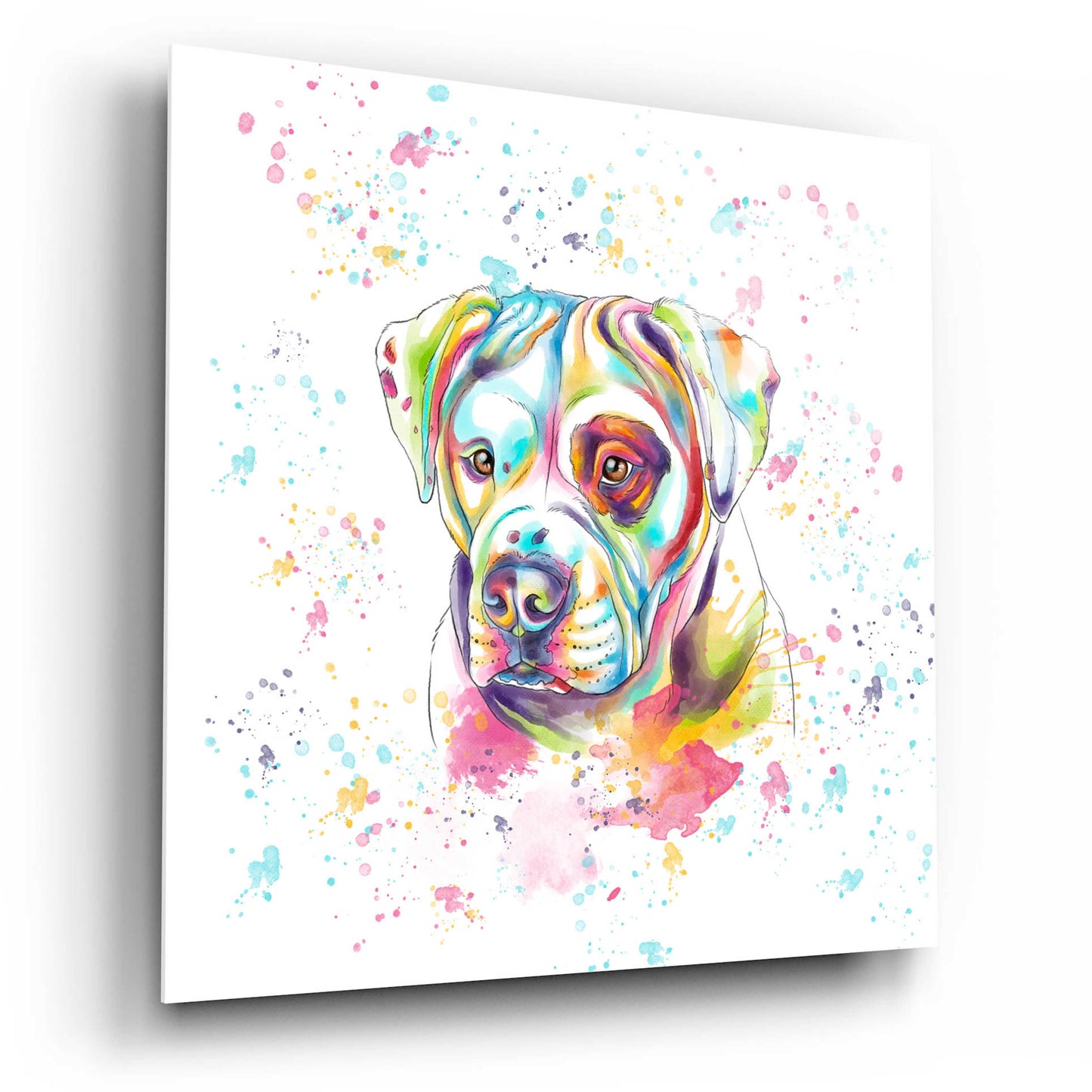 Epic Art 'Colorful Watercolor American Bulldog' by Furbaby Affiliates, Acrylic Glass Wall Art,12x12