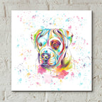 Epic Art 'Colorful Watercolor American Bulldog' by Furbaby Affiliates, Acrylic Glass Wall Art,12x12