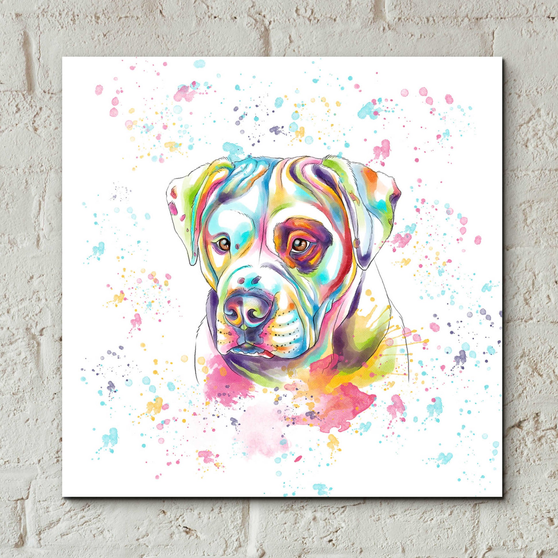 Epic Art 'Colorful Watercolor American Bulldog' by Furbaby Affiliates, Acrylic Glass Wall Art,12x12