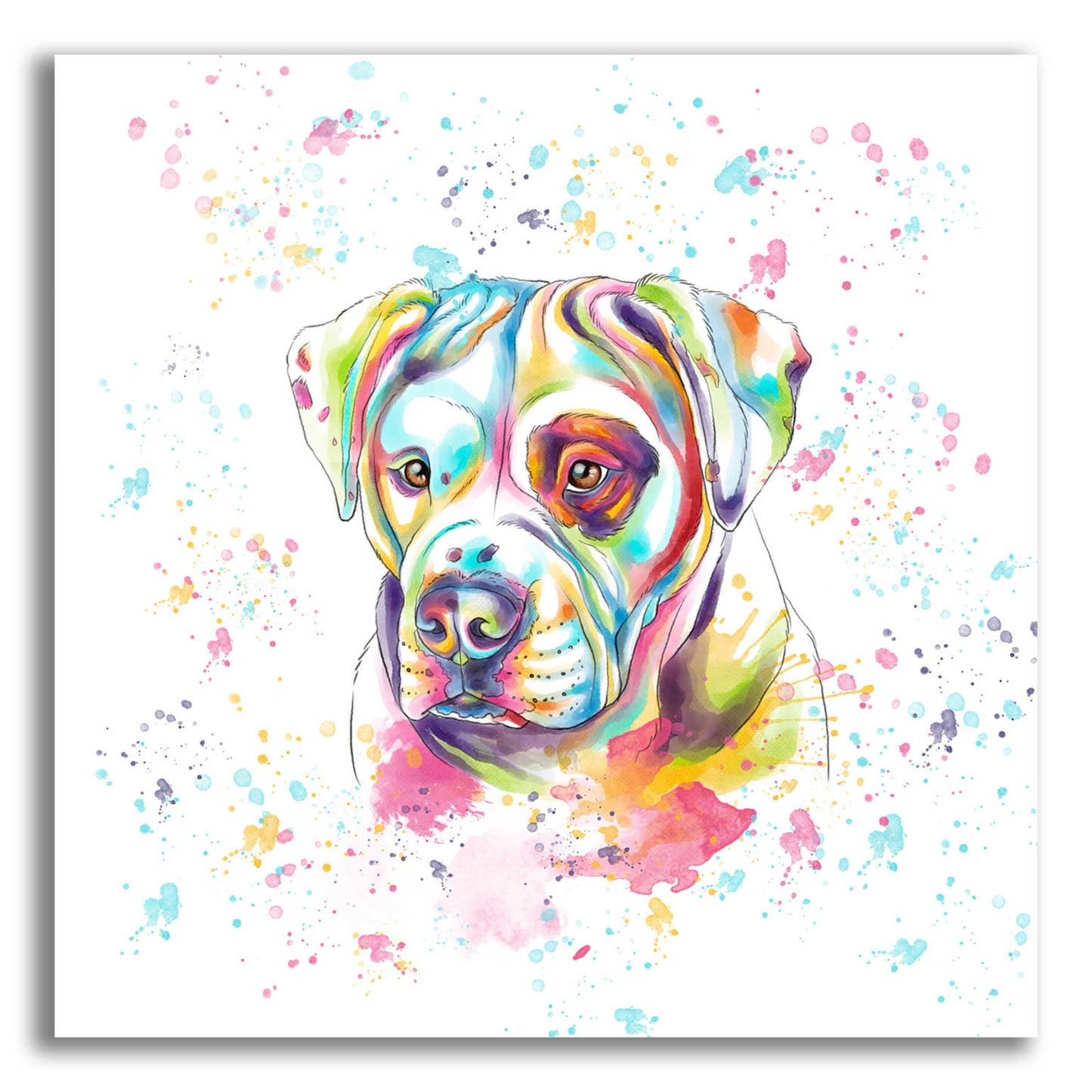 Epic Art 'Colorful Watercolor American Bulldog' by Furbaby Affiliates, Acrylic Glass Wall Art,12x12