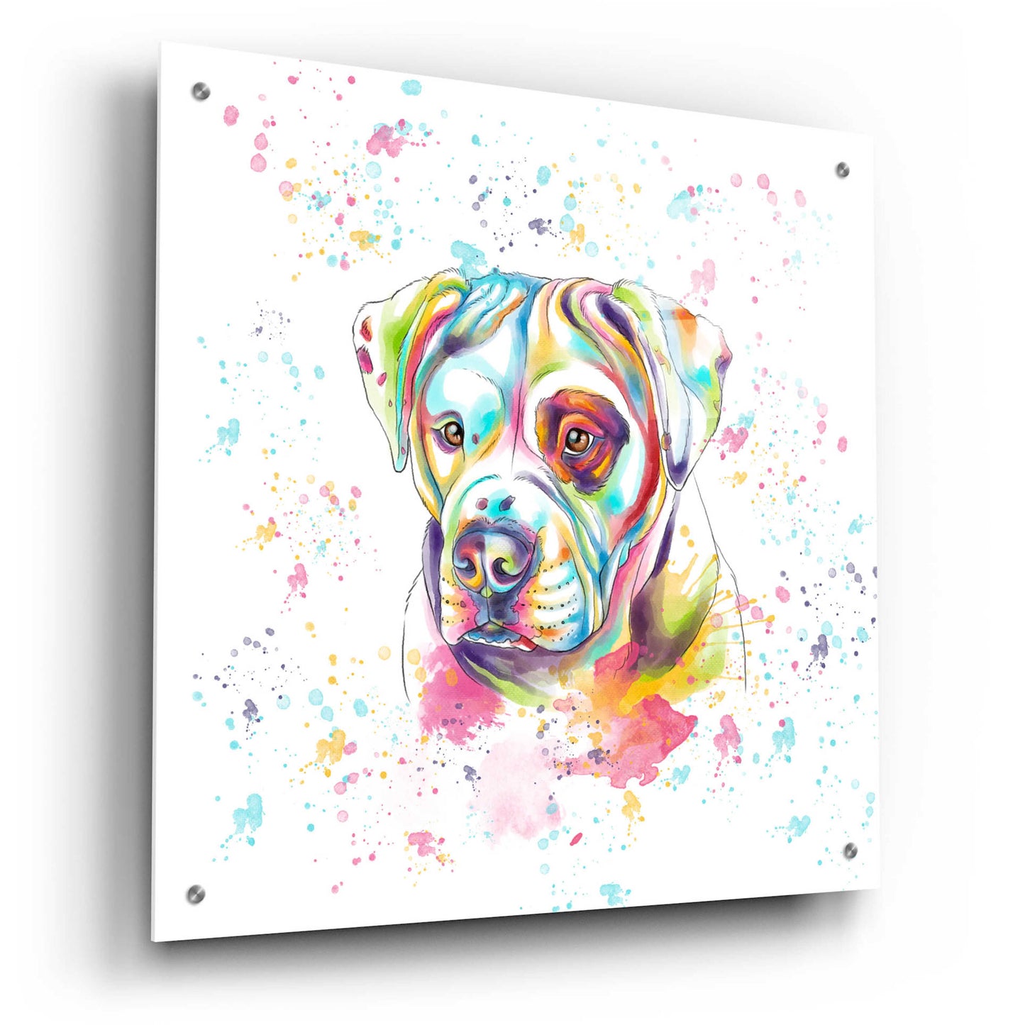 Epic Art 'Colorful Watercolor American Bulldog' by Furbaby Affiliates, Acrylic Glass Wall Art,24x24