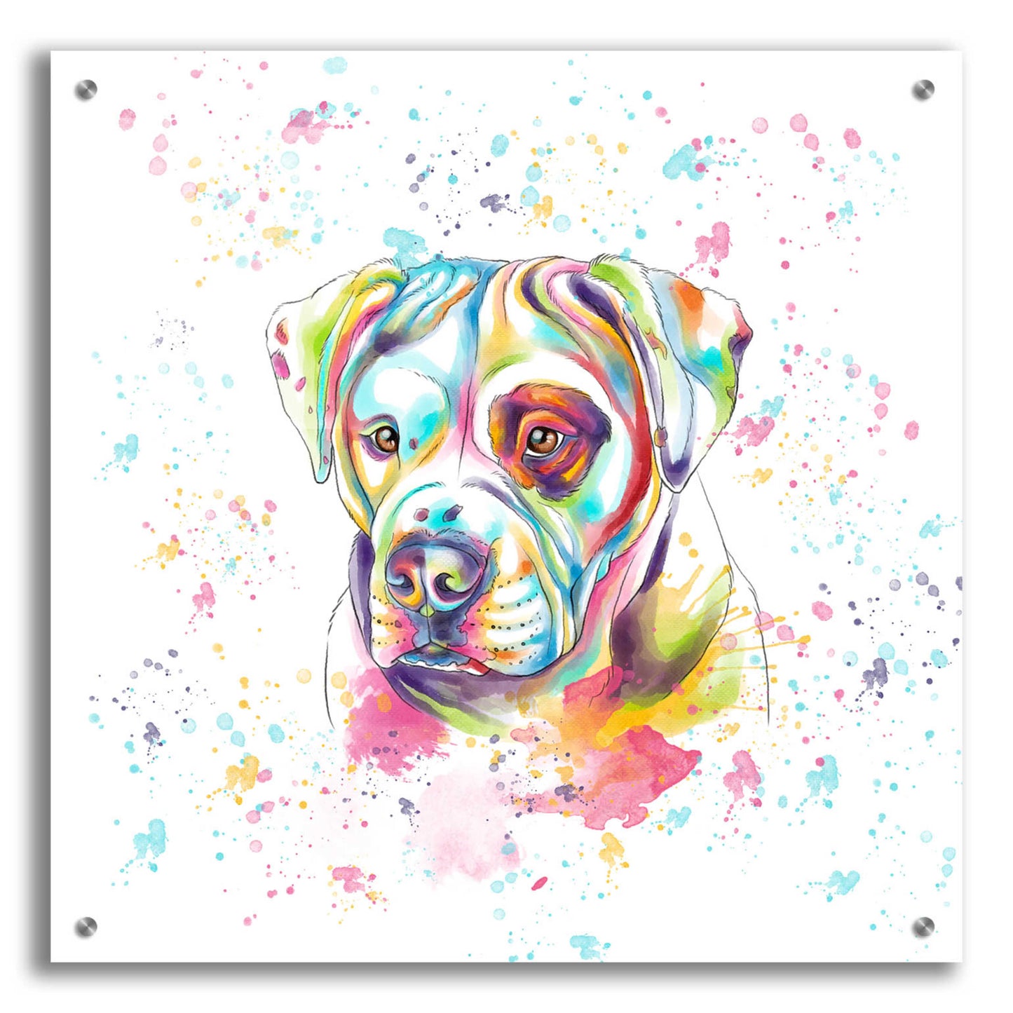 Epic Art 'Colorful Watercolor American Bulldog' by Furbaby Affiliates, Acrylic Glass Wall Art,24x24