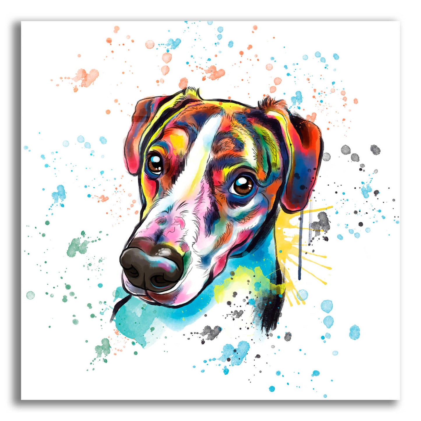 Epic Art 'Colorful Watercolor America Foxhound' by Furbaby Affiliates, Acrylic Glass Wall Art,12x12