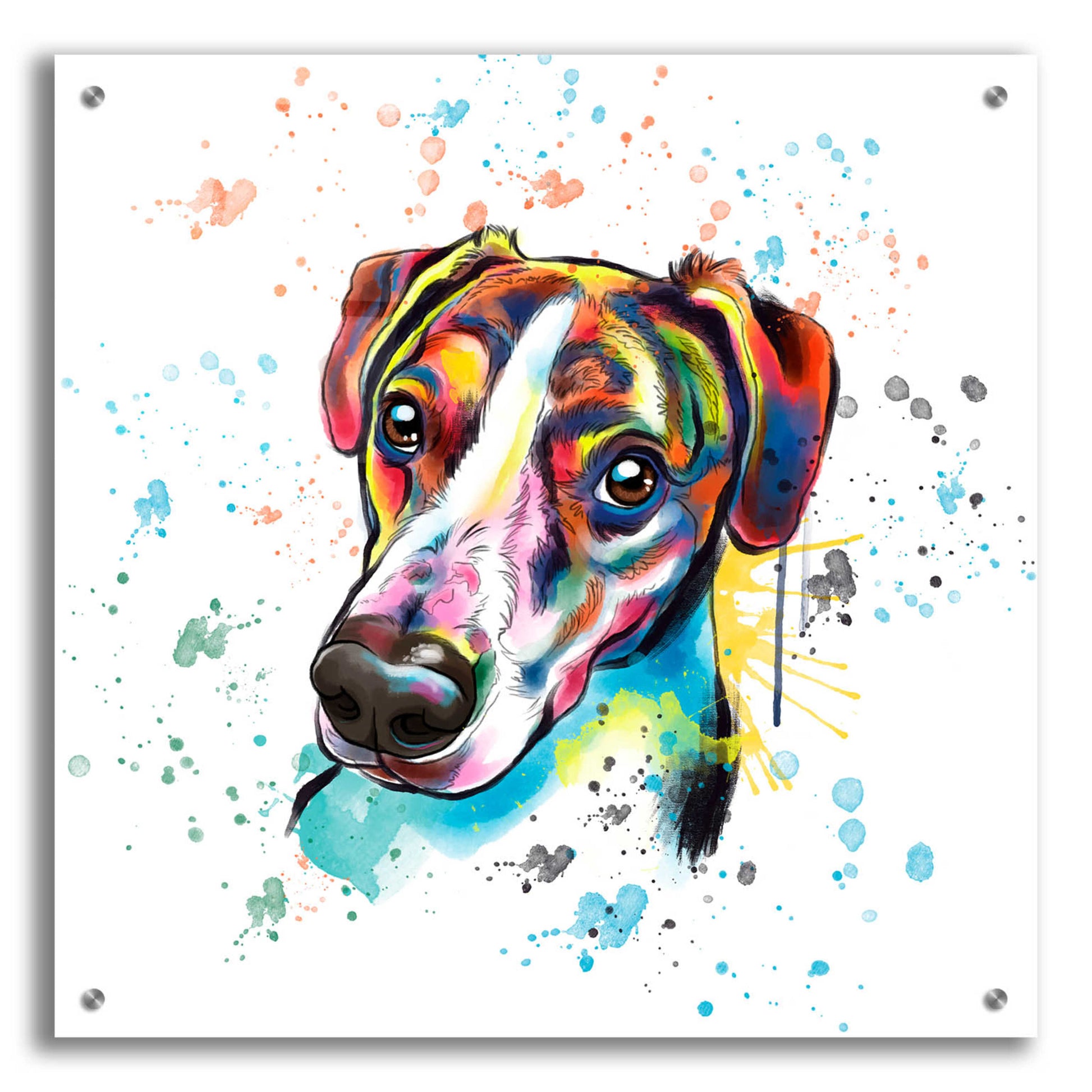 Epic Art 'Colorful Watercolor America Foxhound' by Furbaby Affiliates, Acrylic Glass Wall Art,24x24