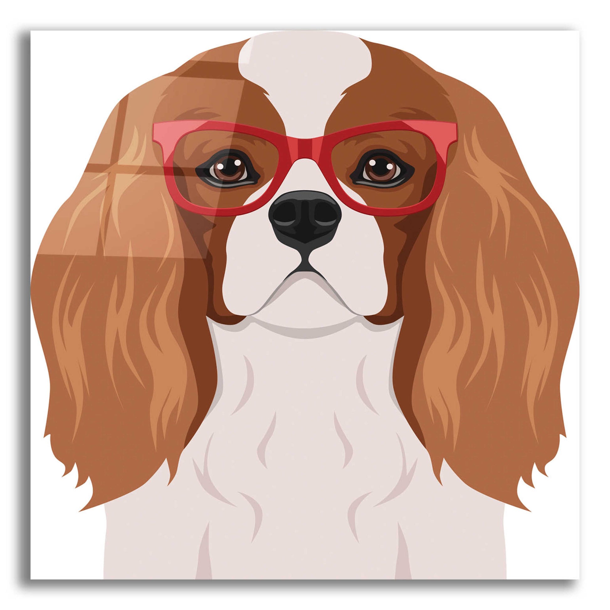 Epic Art 'Cavalier King Charles Spaniel Wearing Hipster Glasses' by Furbaby Affiliates, Acrylic Glass Wall Art,12x12