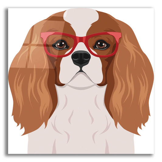 Epic Art 'Cavalier King Charles Spaniel Wearing Hipster Glasses' by Furbaby Affiliates, Acrylic Glass Wall Art