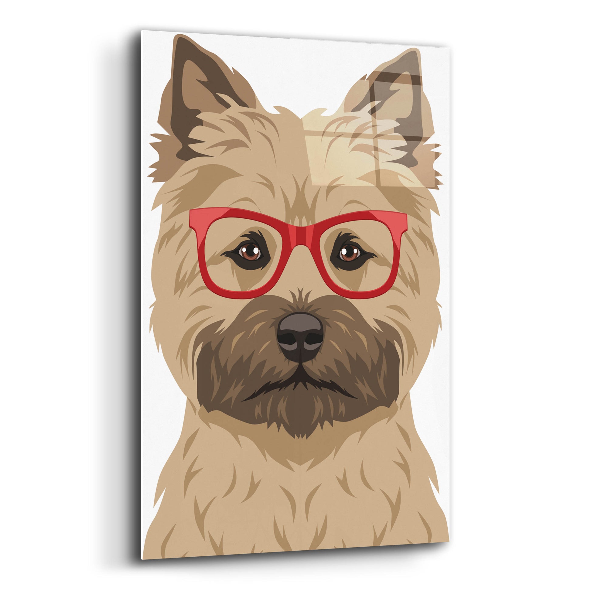 Epic Art 'Cairn Terrier Wearing Hipster Glasses' by Furbaby Affiliates, Acrylic Glass Wall Art,12x16