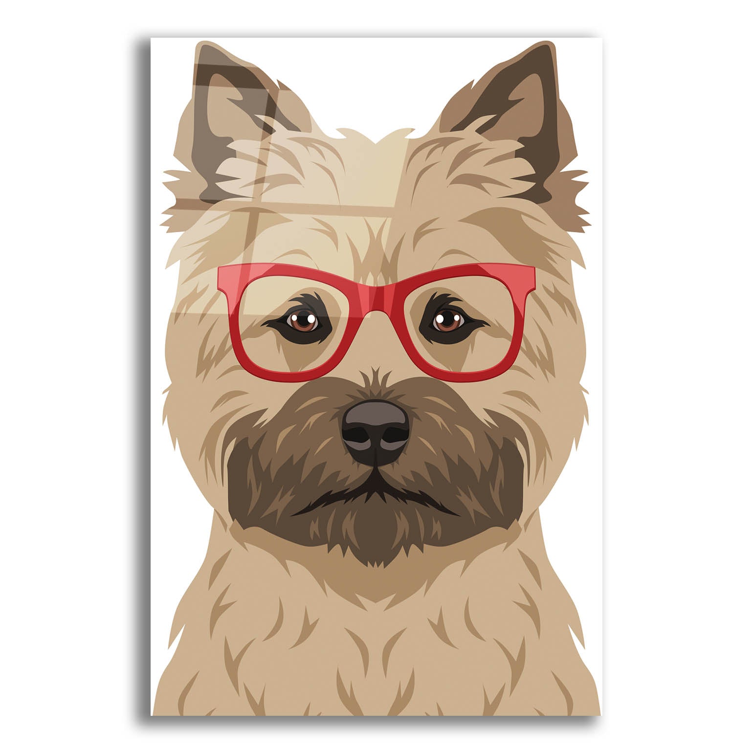 Epic Art 'Cairn Terrier Wearing Hipster Glasses' by Furbaby Affiliates, Acrylic Glass Wall Art,12x16