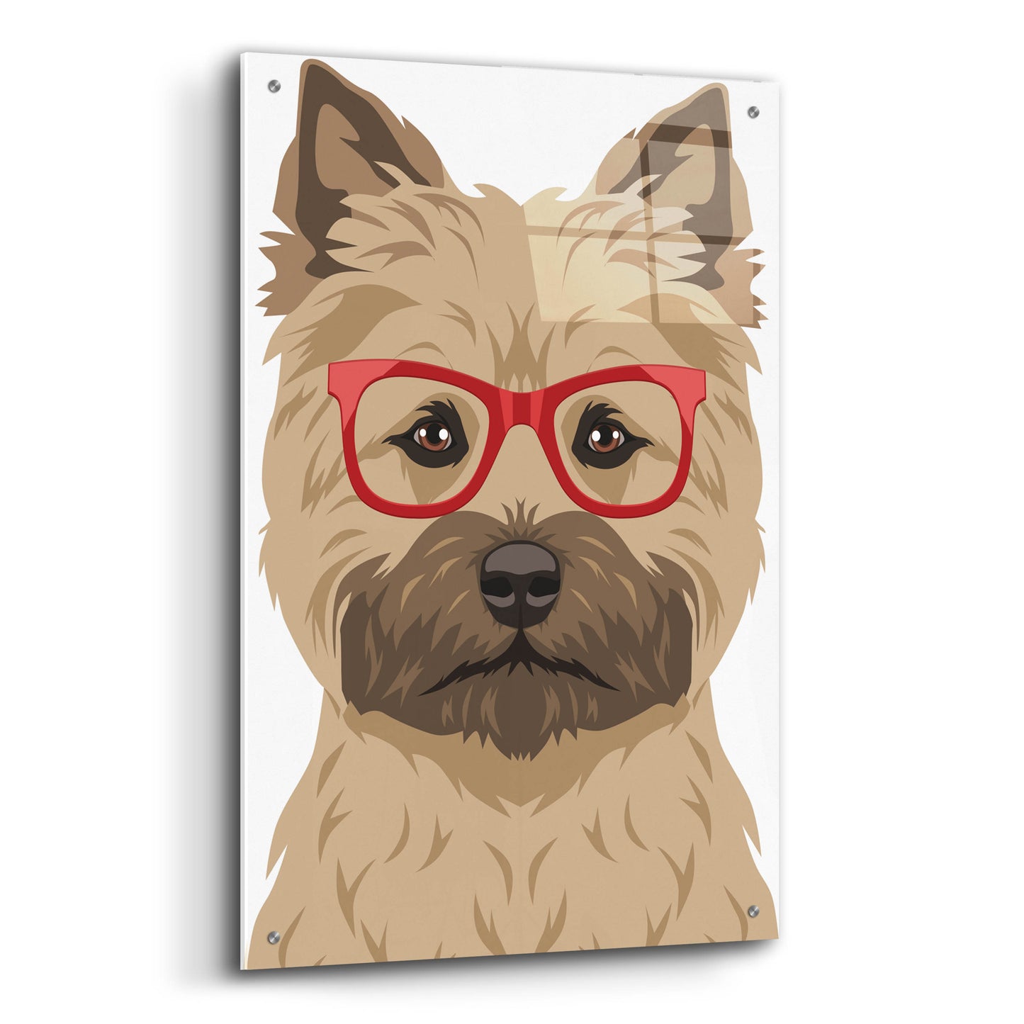 Epic Art 'Cairn Terrier Wearing Hipster Glasses' by Furbaby Affiliates, Acrylic Glass Wall Art,24x36