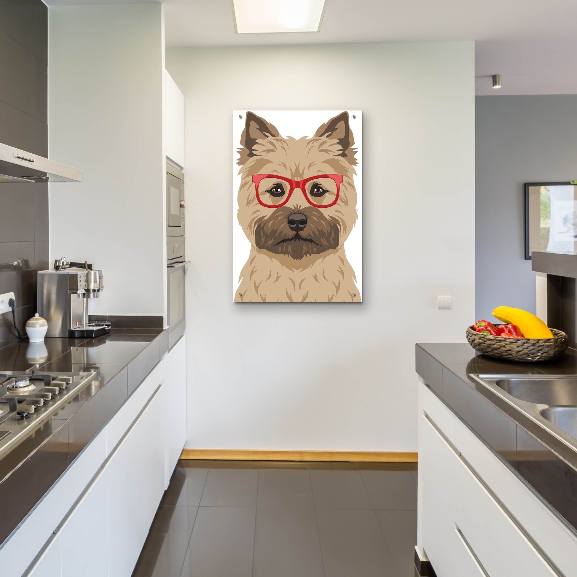 Epic Art 'Cairn Terrier Wearing Hipster Glasses' by Furbaby Affiliates, Acrylic Glass Wall Art,24x36