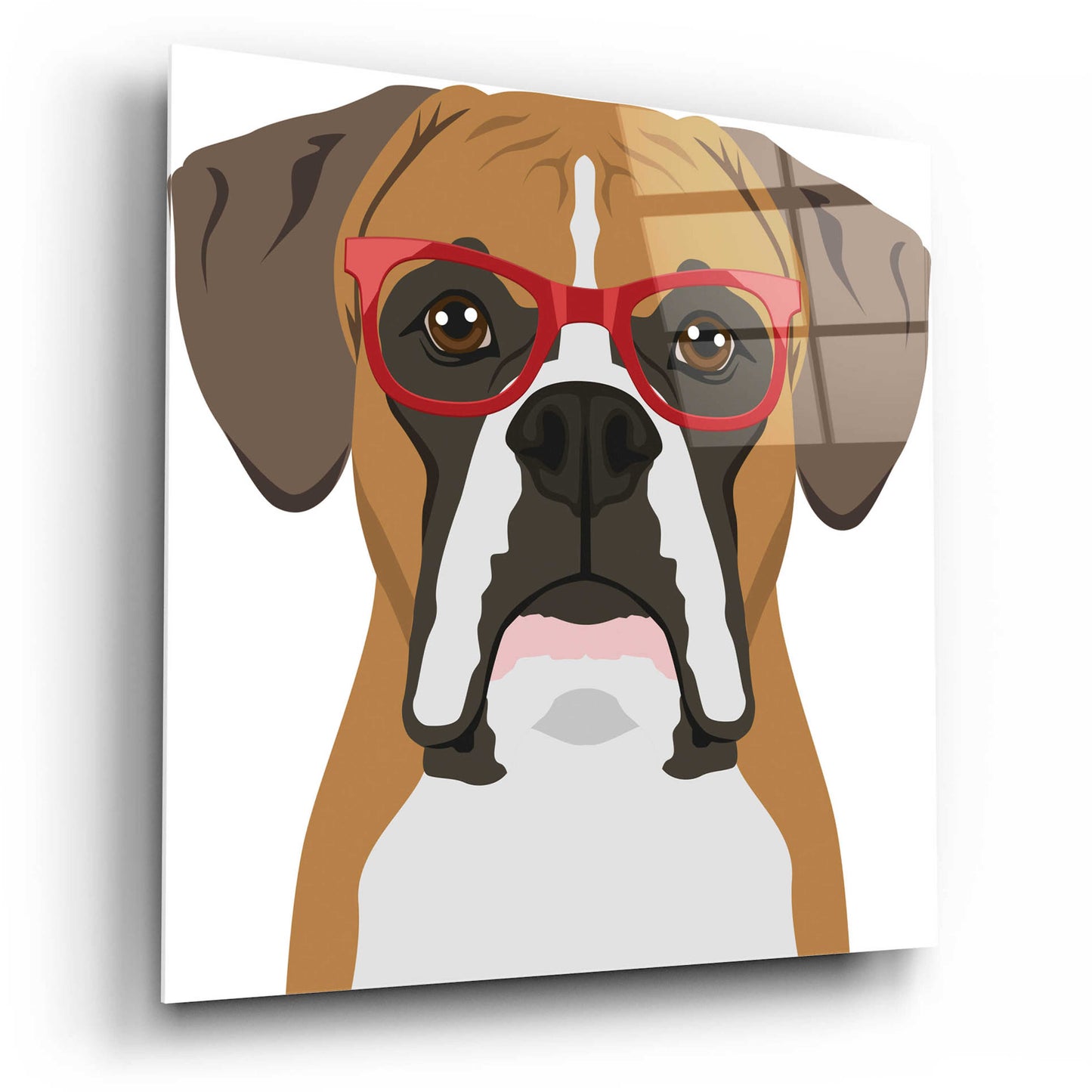 Epic Art 'Boxer Wearing Hipster Glasses' by Furbaby Affiliates, Acrylic Glass Wall Art,12x12