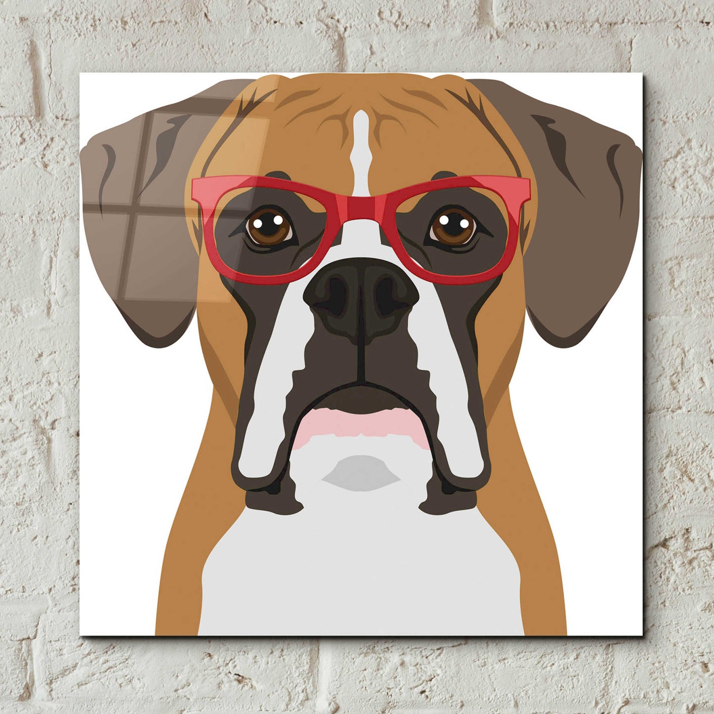 Epic Art 'Boxer Wearing Hipster Glasses' by Furbaby Affiliates, Acrylic Glass Wall Art,12x12