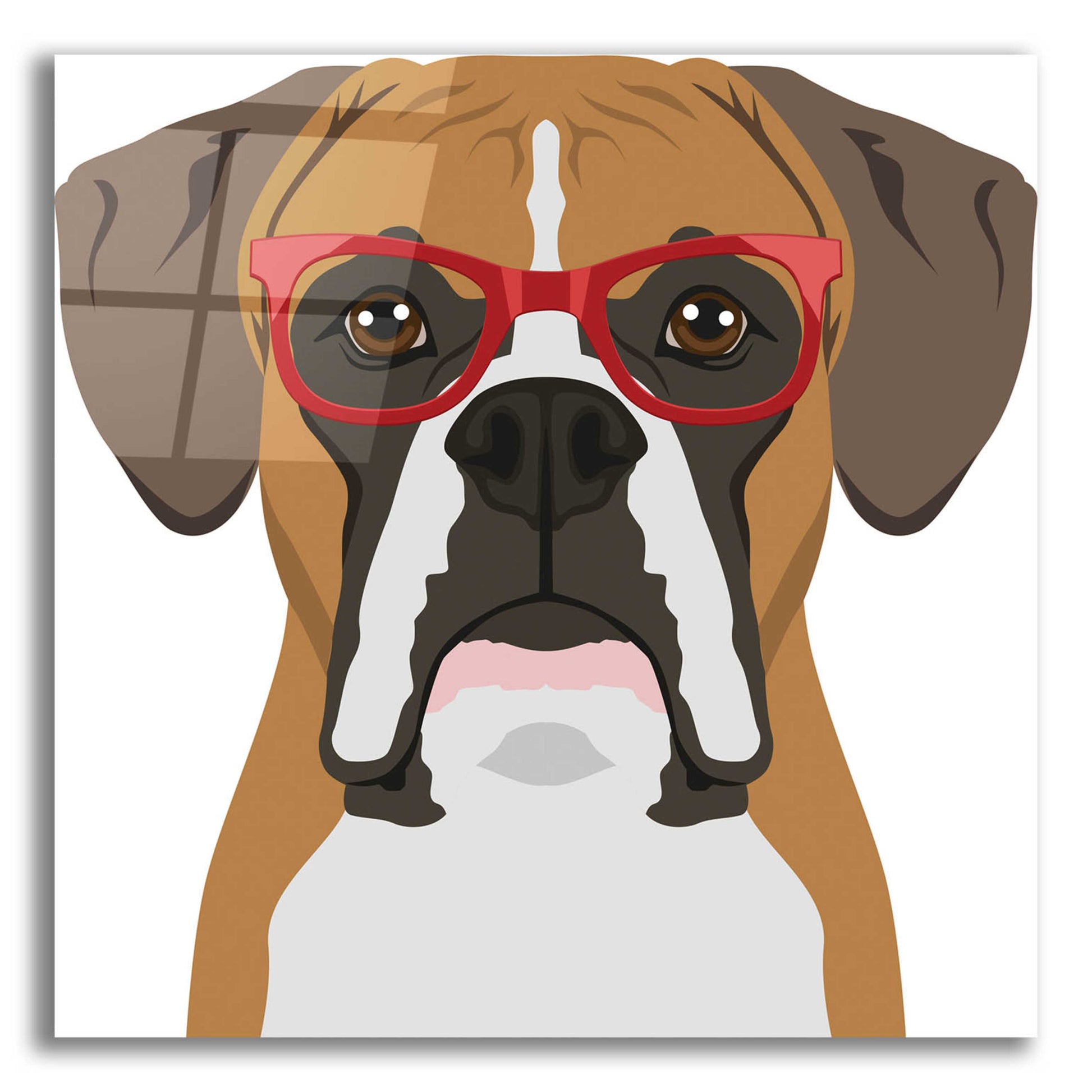 Epic Art 'Boxer Wearing Hipster Glasses' by Furbaby Affiliates, Acrylic Glass Wall Art,12x12