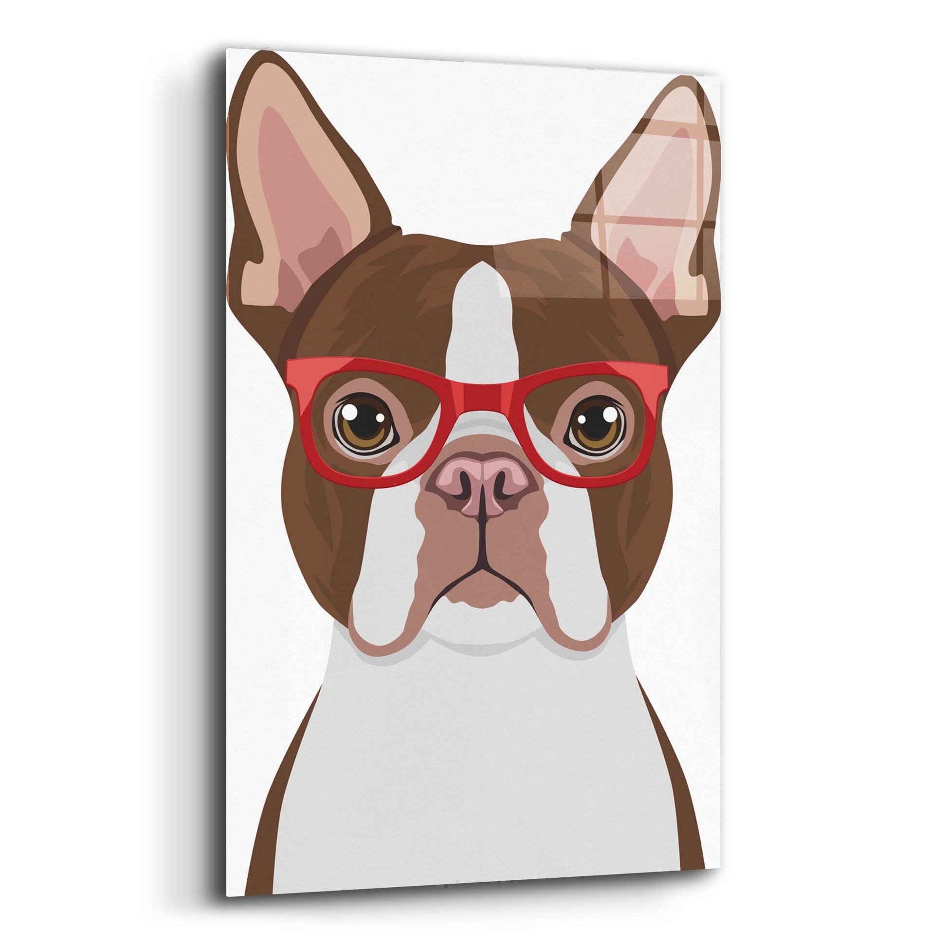 Epic Art 'Boston Terrier Wearing Hipster Glasses 2' by Furbaby Affiliates, Acrylic Glass Wall Art,12x16