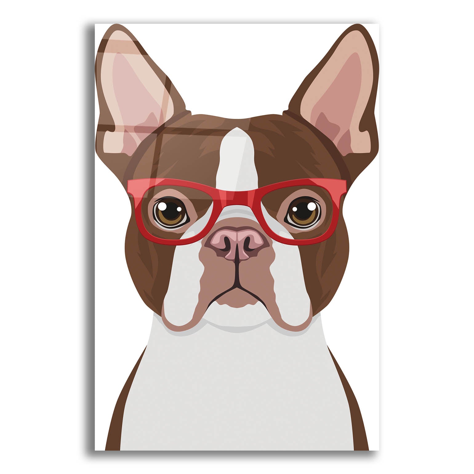 Epic Art 'Boston Terrier Wearing Hipster Glasses 2' by Furbaby Affiliates, Acrylic Glass Wall Art,12x16