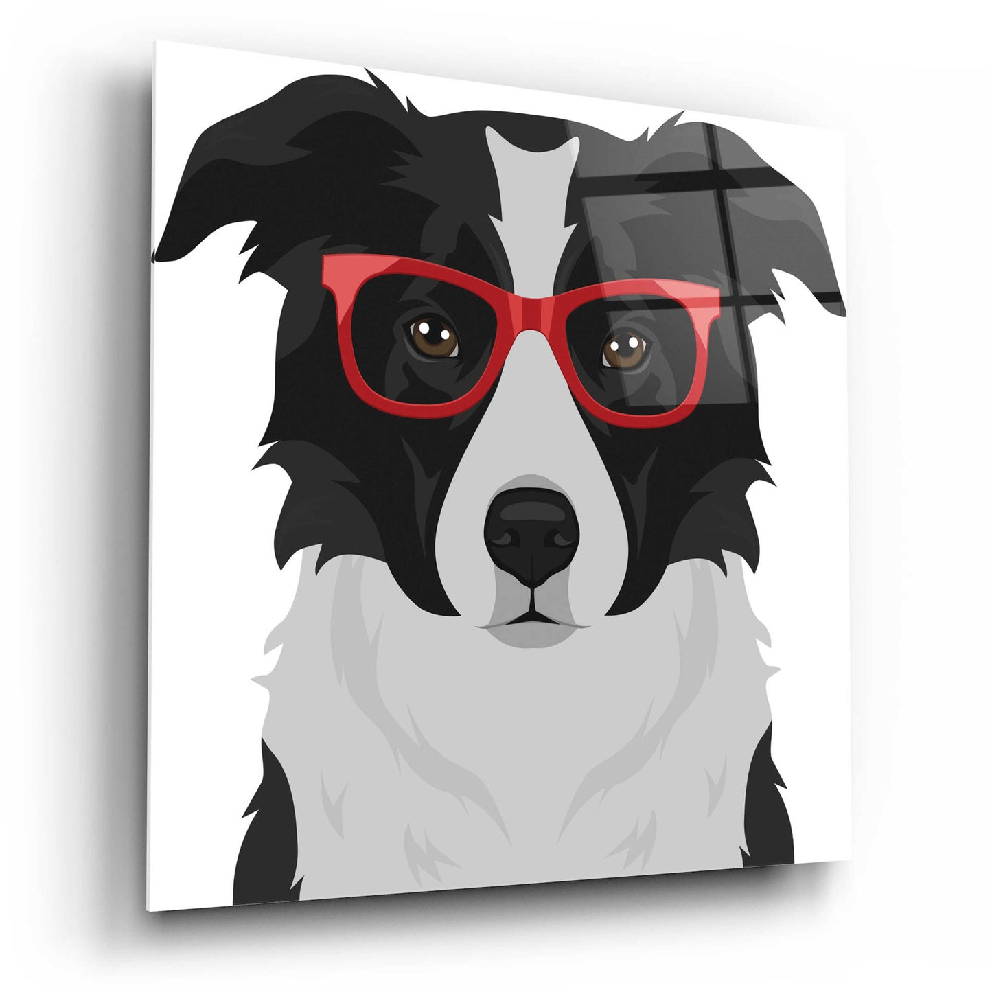 Epic Art 'Border Collie Wearing Hipster Glasses' by Furbaby Affiliates, Acrylic Glass Wall Art,12x12