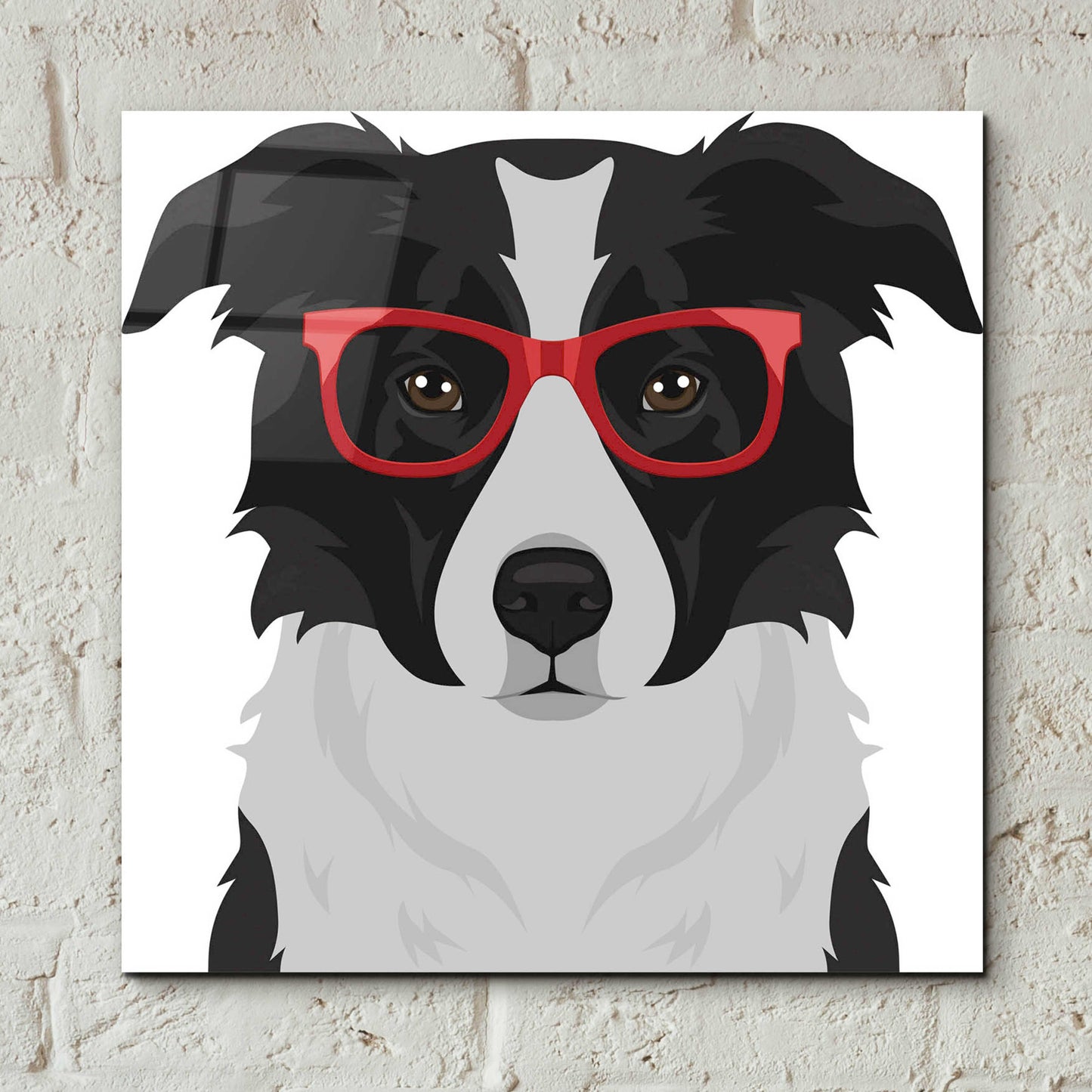 Epic Art 'Border Collie Wearing Hipster Glasses' by Furbaby Affiliates, Acrylic Glass Wall Art,12x12