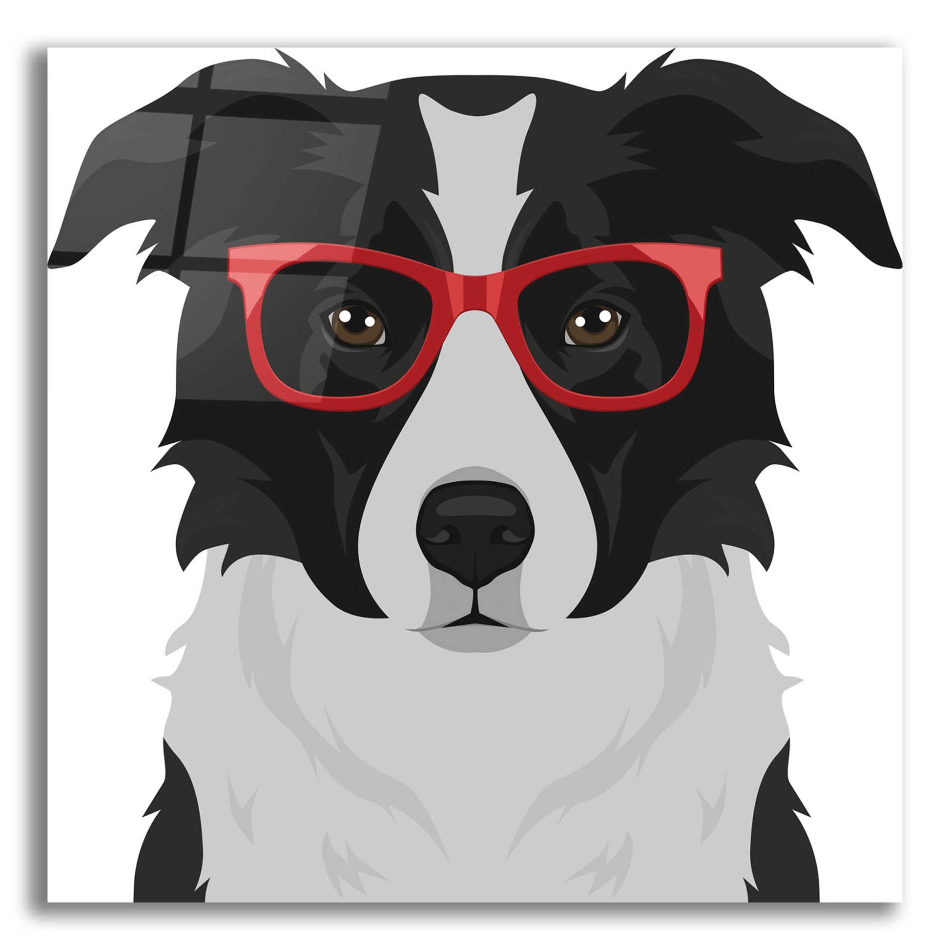 Epic Art 'Border Collie Wearing Hipster Glasses' by Furbaby Affiliates, Acrylic Glass Wall Art,12x12