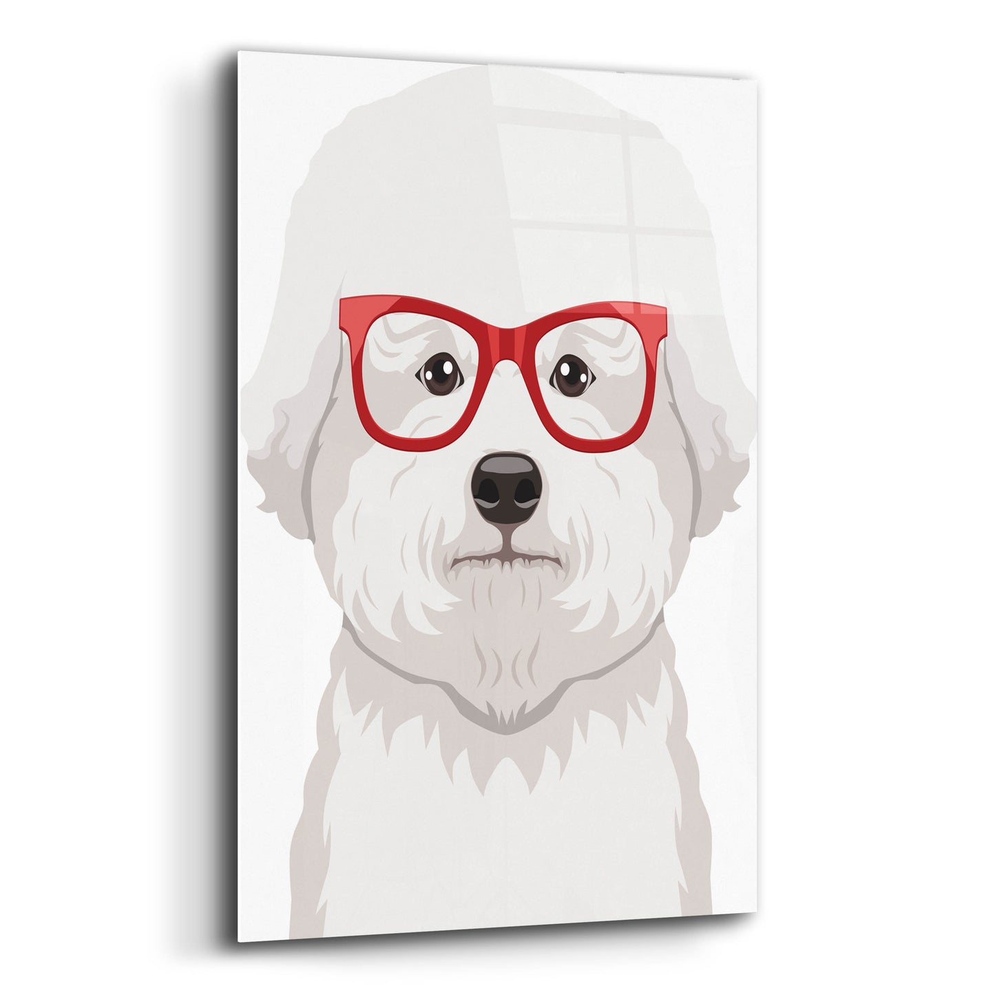 Epic Art 'Bichon Wearing Hipster Glasses' by Furbaby Affiliates, Acrylic Glass Wall Art,12x16