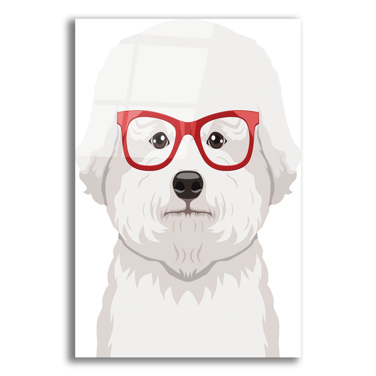 Epic Art 'Bichon Wearing Hipster Glasses' by Furbaby Affiliates, Acrylic Glass Wall Art,12x16