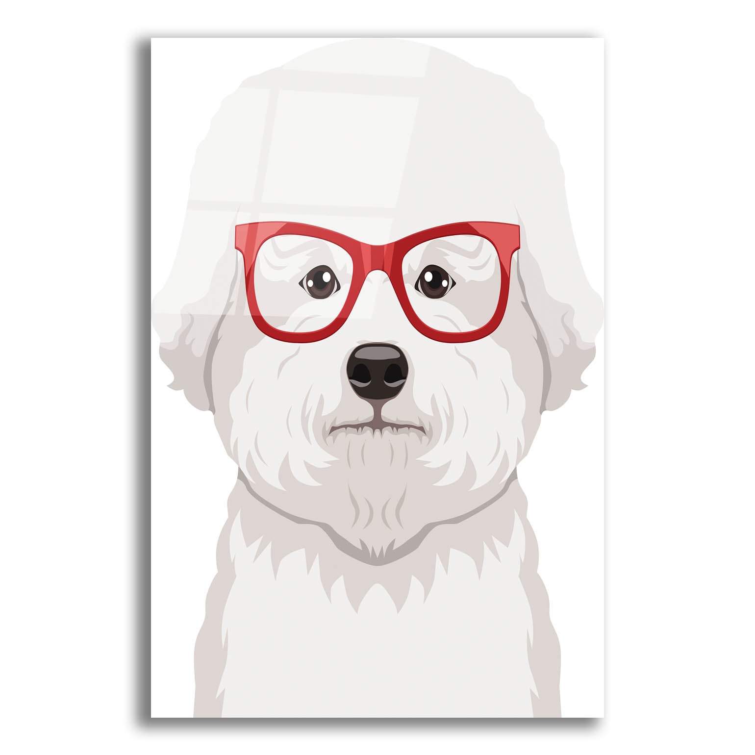 Epic Art 'Bichon Wearing Hipster Glasses' by Furbaby Affiliates, Acrylic Glass Wall Art,12x16