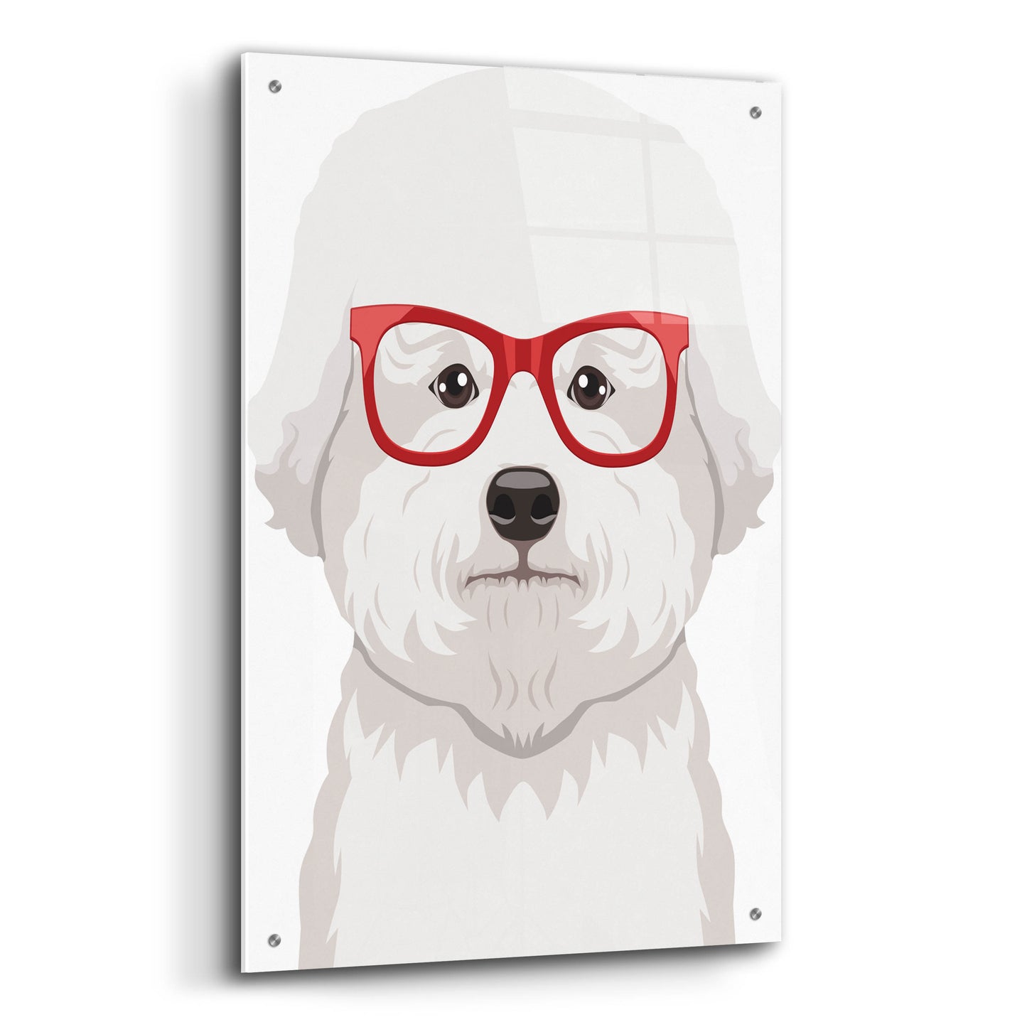 Epic Art 'Bichon Wearing Hipster Glasses' by Furbaby Affiliates, Acrylic Glass Wall Art,24x36