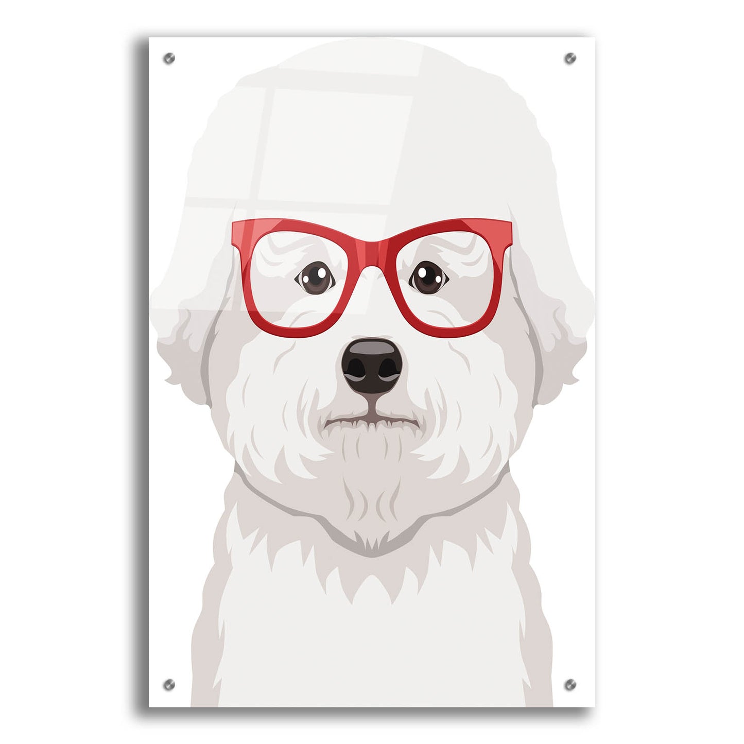 Epic Art 'Bichon Wearing Hipster Glasses' by Furbaby Affiliates, Acrylic Glass Wall Art,24x36