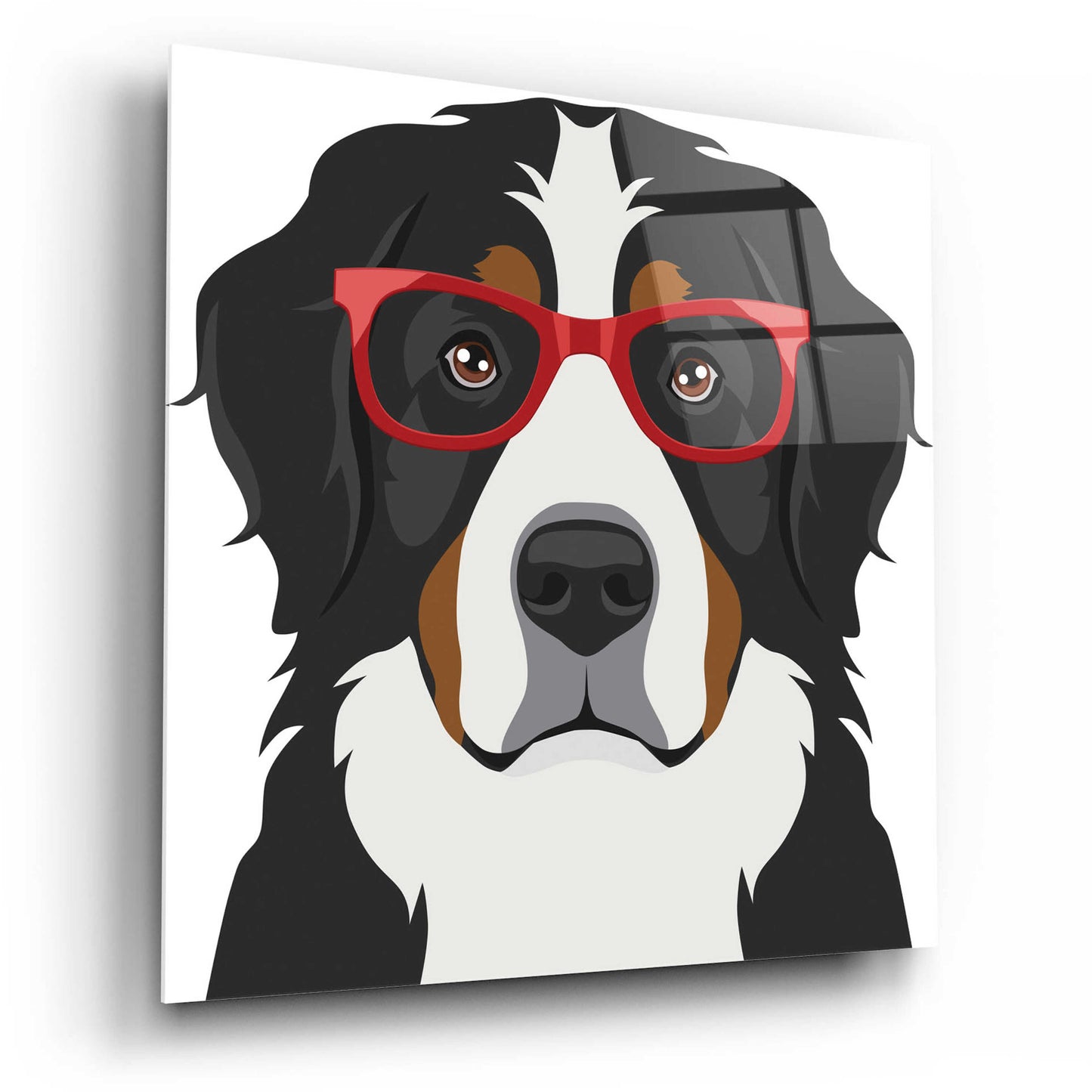 Epic Art 'Bernese Mountain Dog Wearing Hipster Glasses' by Furbaby Affiliates, Acrylic Glass Wall Art,12x12