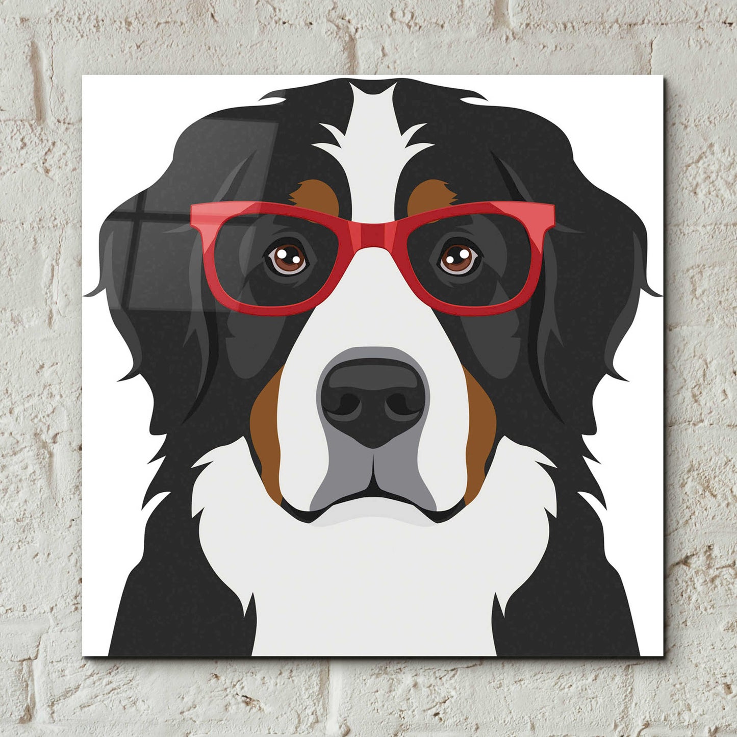 Epic Art 'Bernese Mountain Dog Wearing Hipster Glasses' by Furbaby Affiliates, Acrylic Glass Wall Art,12x12