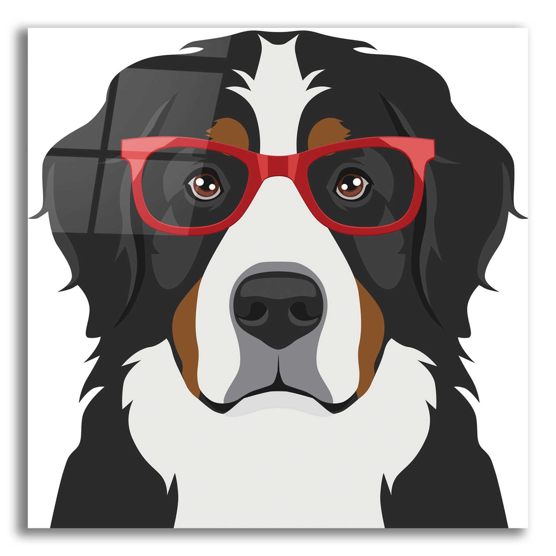 Epic Art 'Bernese Mountain Dog Wearing Hipster Glasses' by Furbaby Affiliates, Acrylic Glass Wall Art,12x12