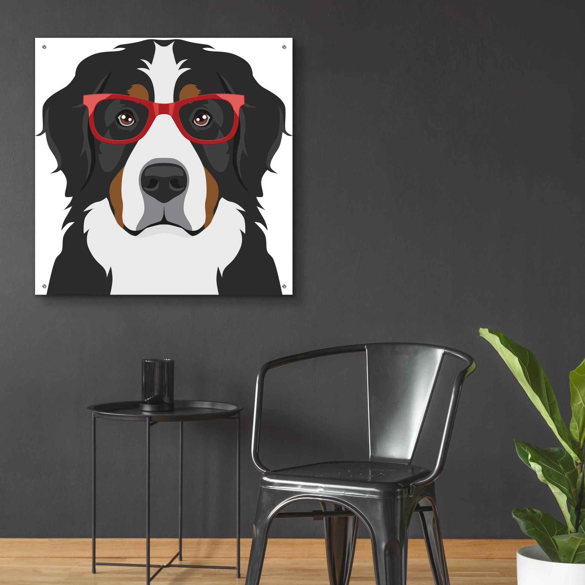 Epic Art 'Bernese Mountain Dog Wearing Hipster Glasses' by Furbaby Affiliates, Acrylic Glass Wall Art,36x36