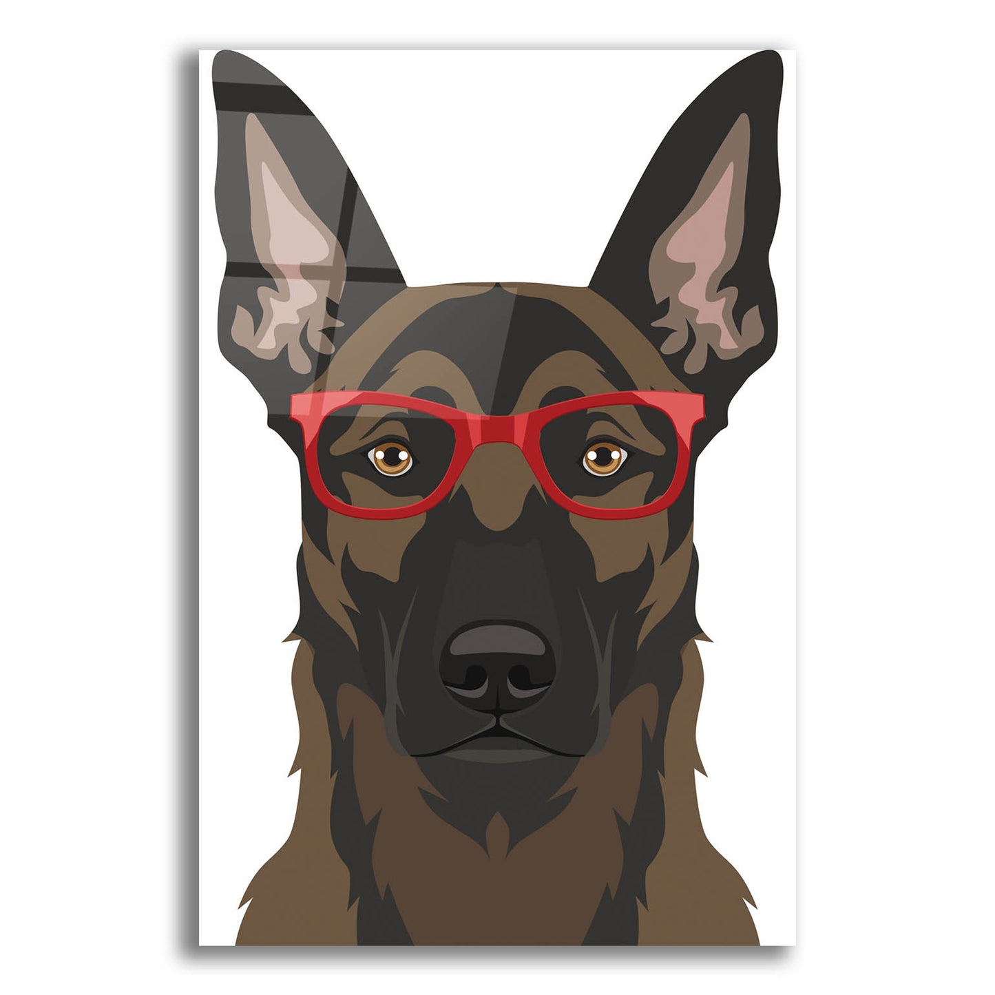 Epic Art 'Belgian Malinois Wearing Hipster Glasses' by Furbaby Affiliates, Acrylic Glass Wall Art,12x16