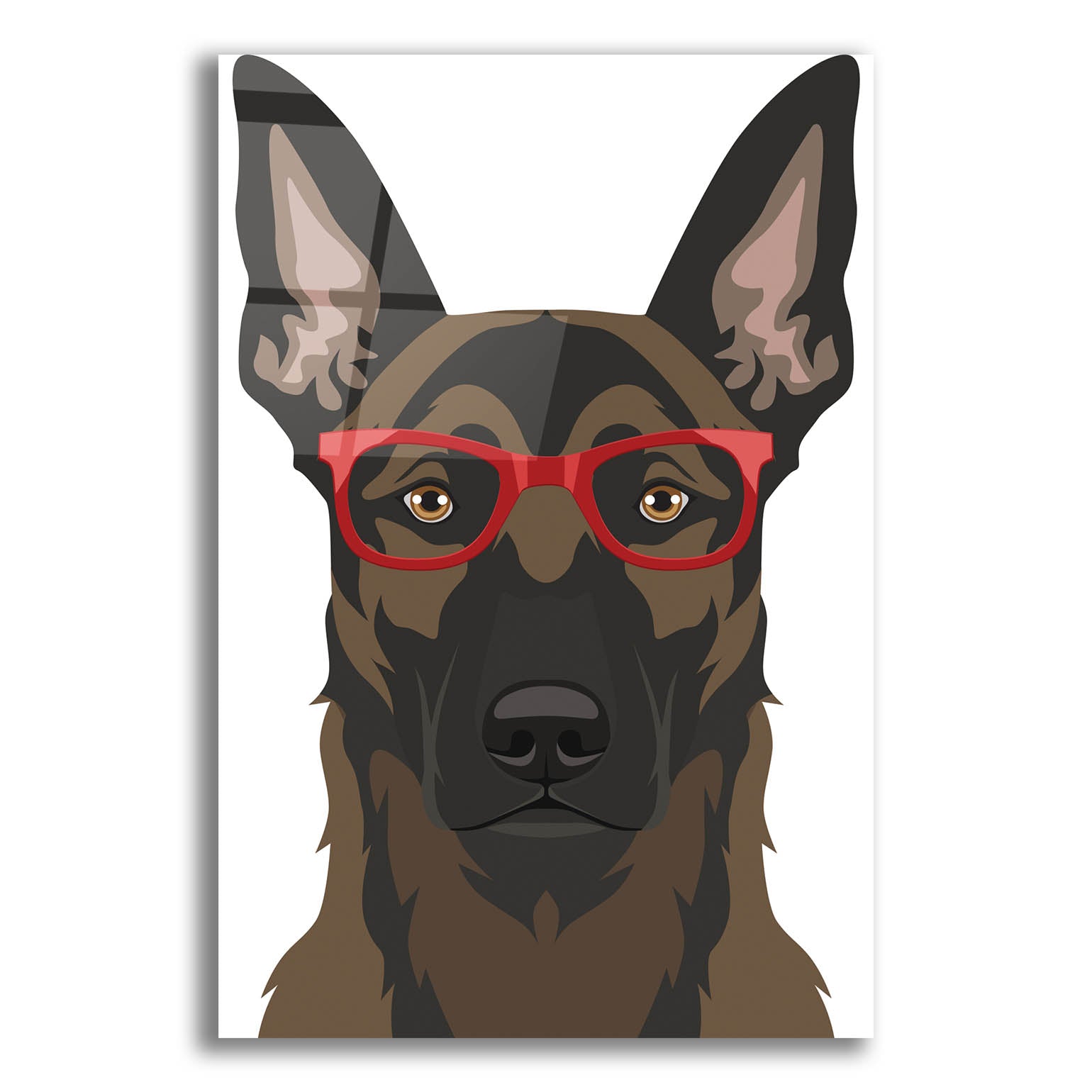 Epic Art 'Belgian Malinois Wearing Hipster Glasses' by Furbaby Affiliates, Acrylic Glass Wall Art,16x24