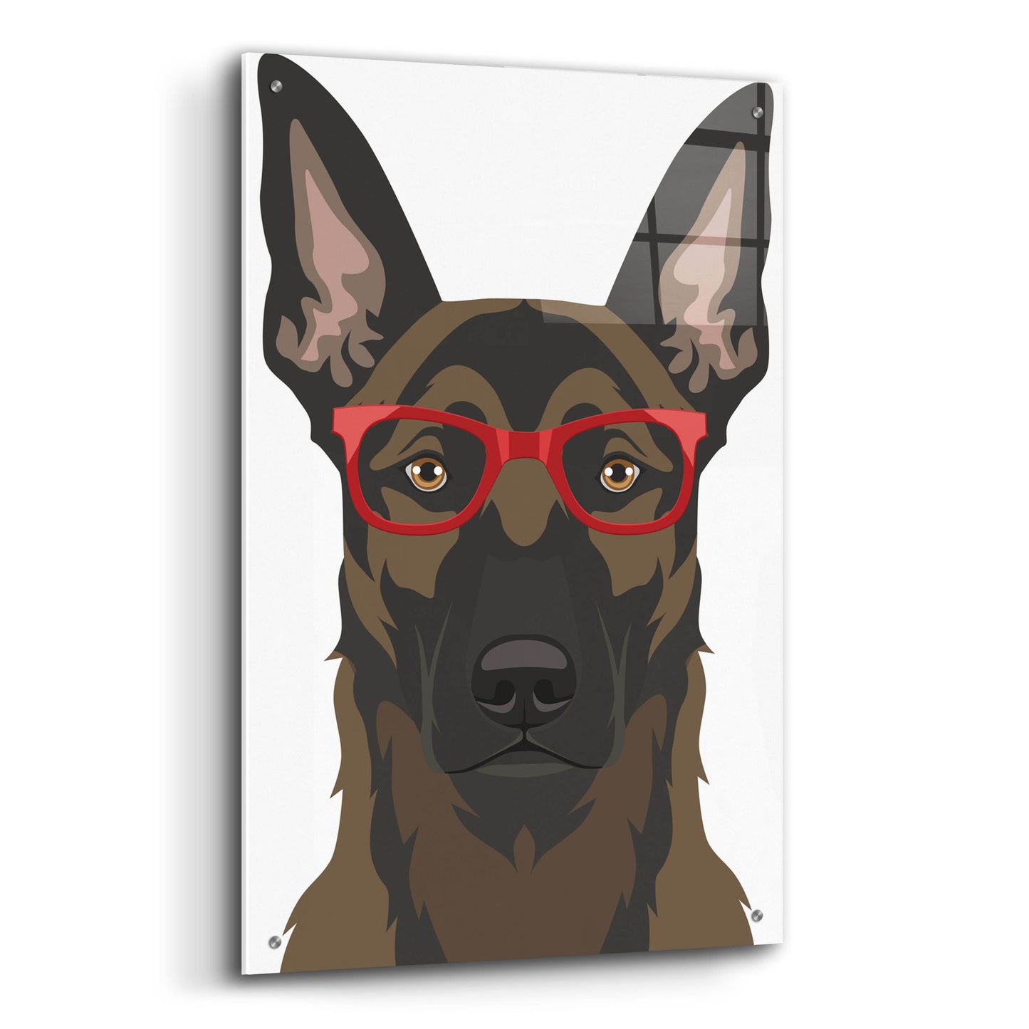 Epic Art 'Belgian Malinois Wearing Hipster Glasses' by Furbaby Affiliates, Acrylic Glass Wall Art,24x36