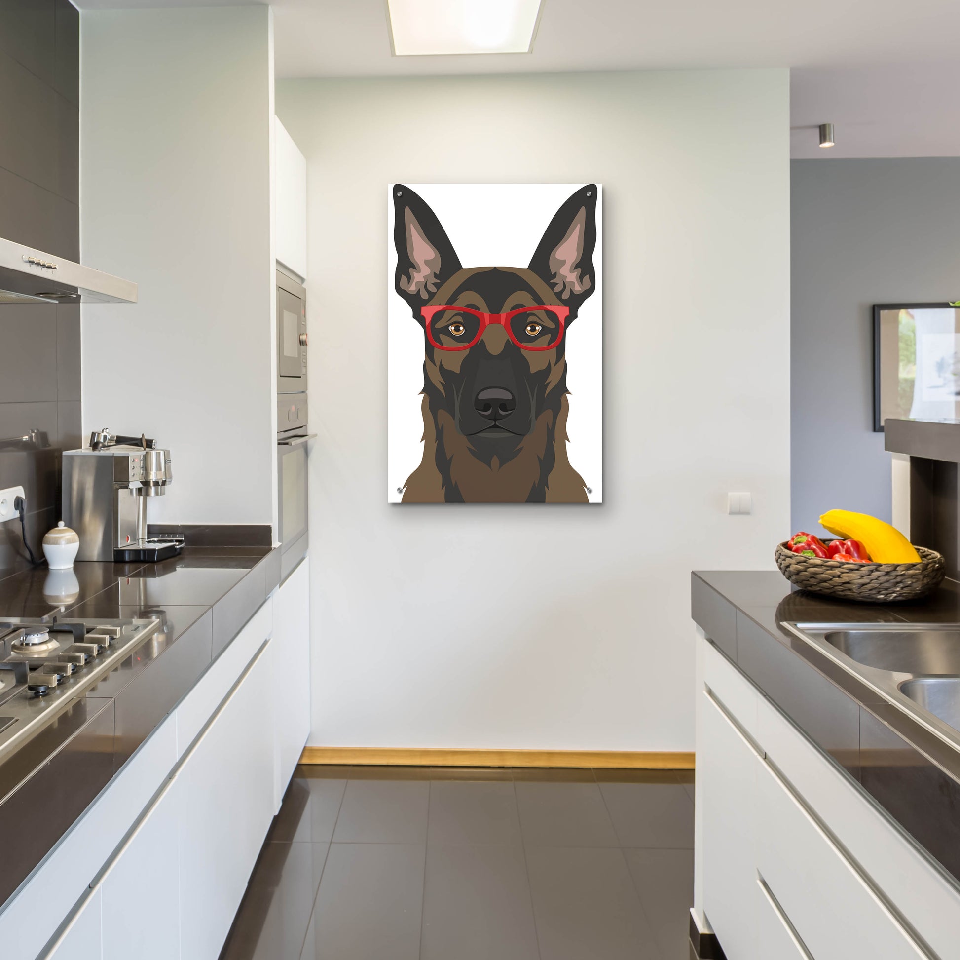 Epic Art 'Belgian Malinois Wearing Hipster Glasses' by Furbaby Affiliates, Acrylic Glass Wall Art,24x36