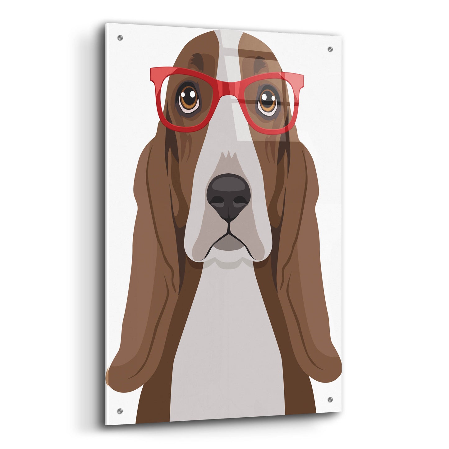 Epic Art 'Basset Hound Wearing Hipster Glasses' by Olga and Alexey Drozdov, Acrylic Glass Wall Art,24x36