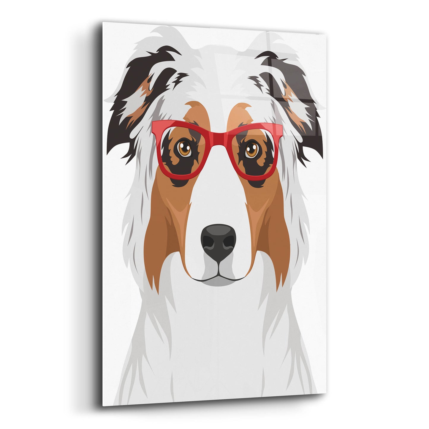 Epic Art 'Australian Shepherd Wearing Hipster Glasses' by Olga and Alexey Drozdov, Acrylic Glass Wall Art,12x16