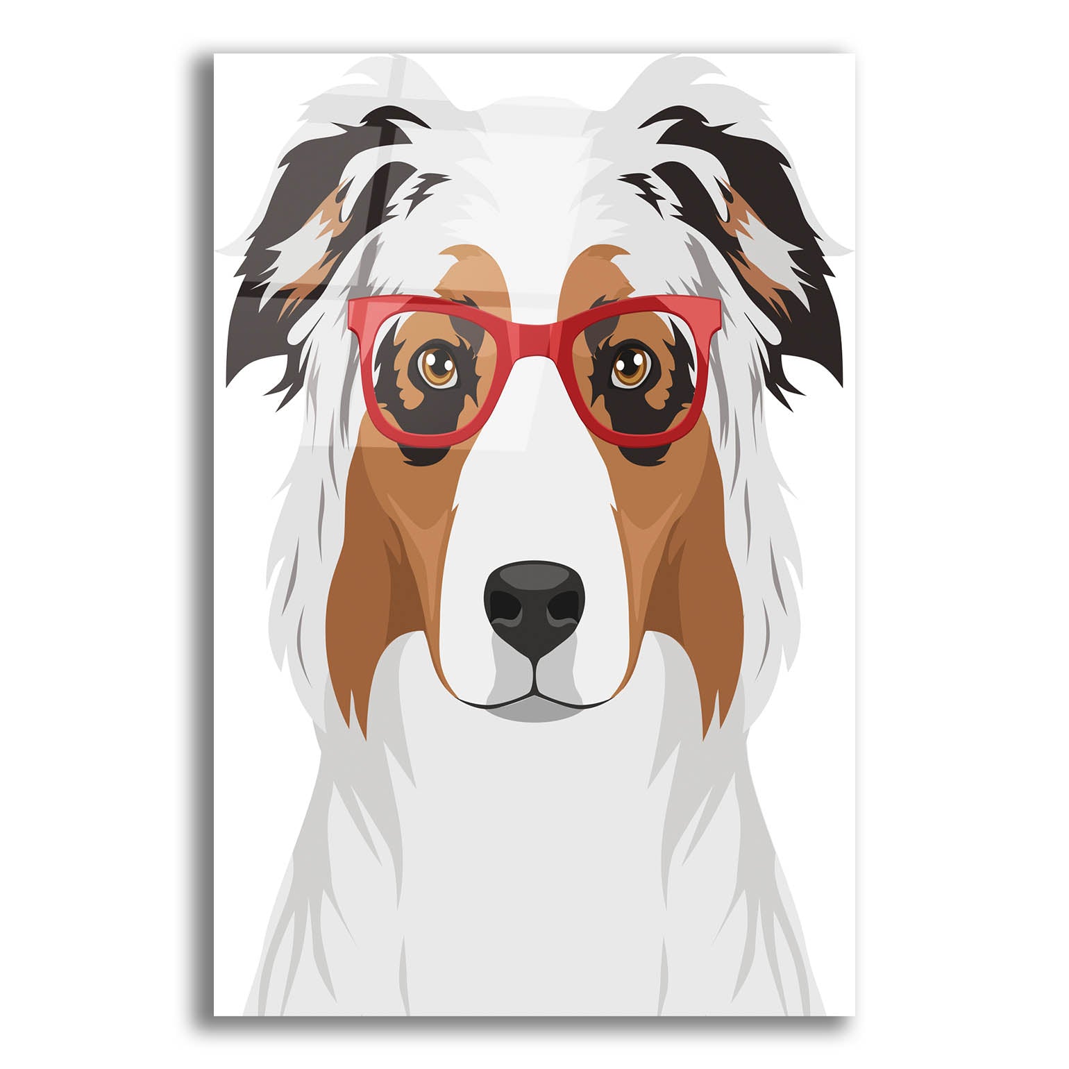 Epic Art 'Australian Shepherd Wearing Hipster Glasses' by Olga and Alexey Drozdov, Acrylic Glass Wall Art,12x16