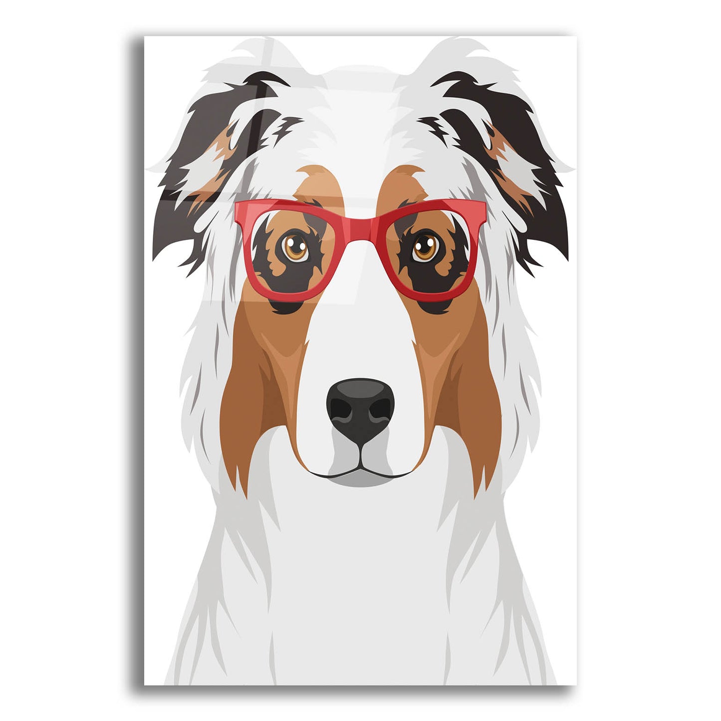 Epic Art 'Australian Shepherd Wearing Hipster Glasses' by Olga and Alexey Drozdov, Acrylic Glass Wall Art,16x24