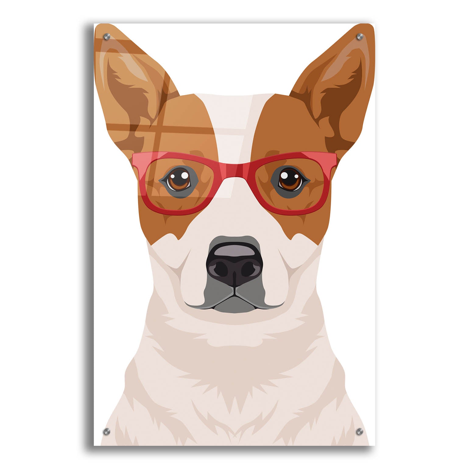 Epic Art 'Australian Cattle Dog Wearing Hipster Glasses' by Olga and Alexey Drozdov, Acrylic Glass Wall Art,24x36