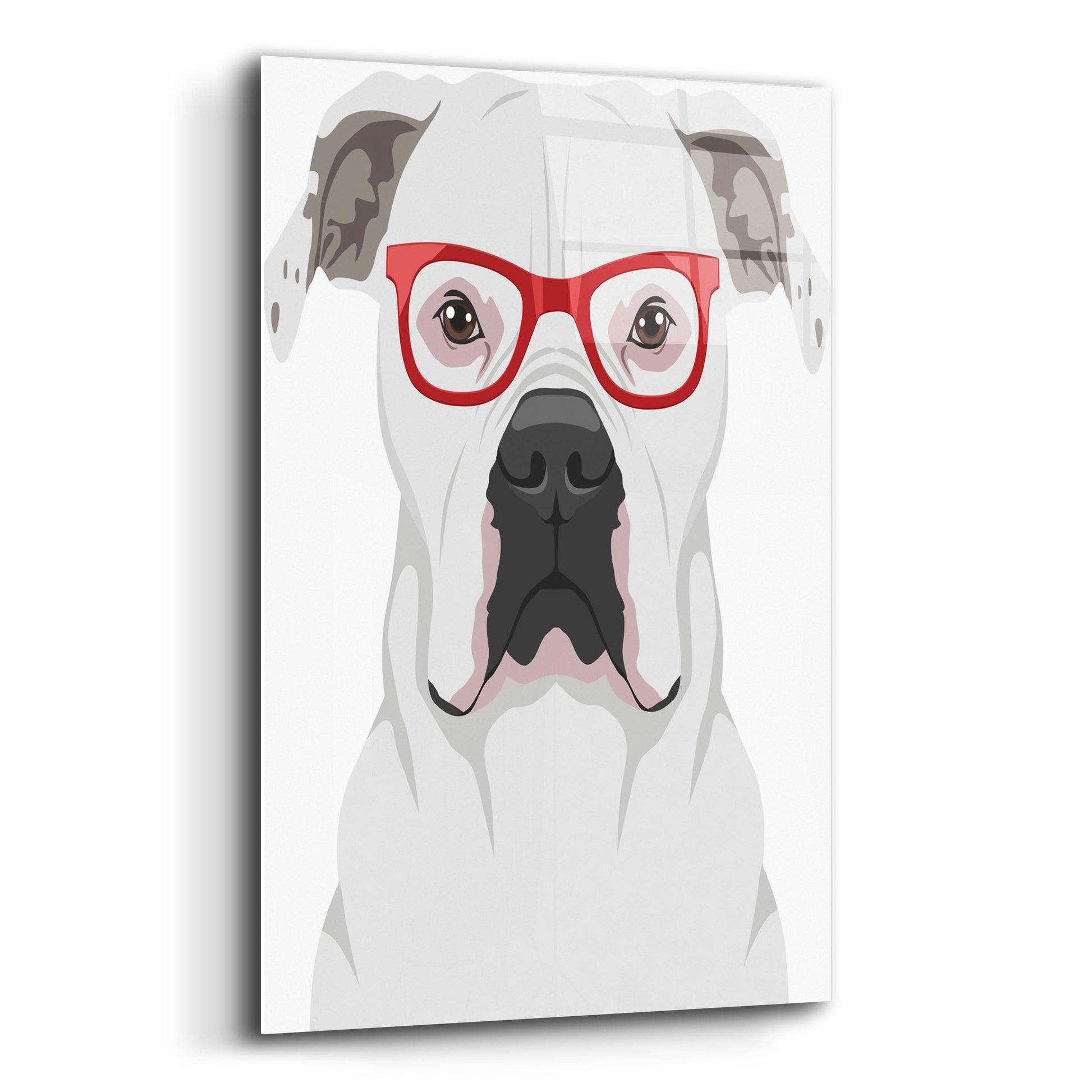 Epic Art 'American Bulldog Wearing Hipster Glasses' by Olga and Alexey Drozdov, Acrylic Glass Wall Art,12x16