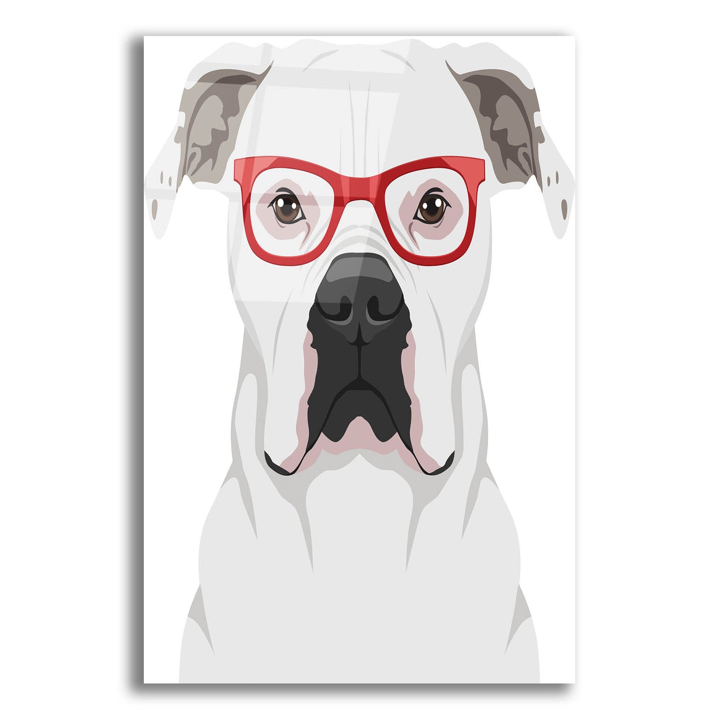 Epic Art 'American Bulldog Wearing Hipster Glasses' by Olga and Alexey Drozdov, Acrylic Glass Wall Art,12x16