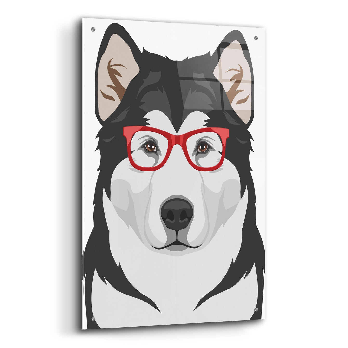 Epic Art 'Alaskan Malamute Wearing Hipster Glasses' by Olga and Alexey Drozdov, Acrylic Glass Wall Art,24x36