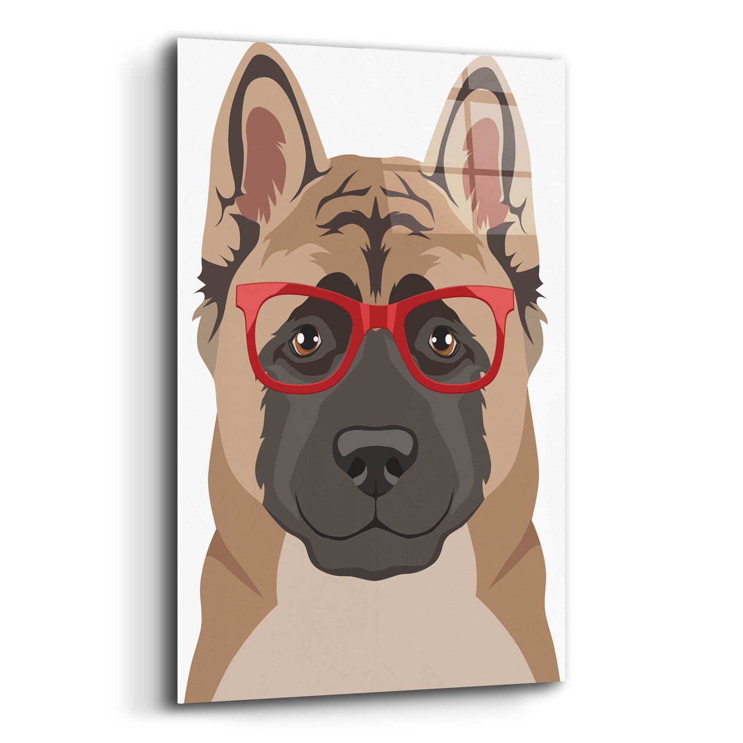 Epic Art 'Akita Wearing Hipster Glasses' by Olga and Alexey Drozdov, Acrylic Glass Wall Art,12x16