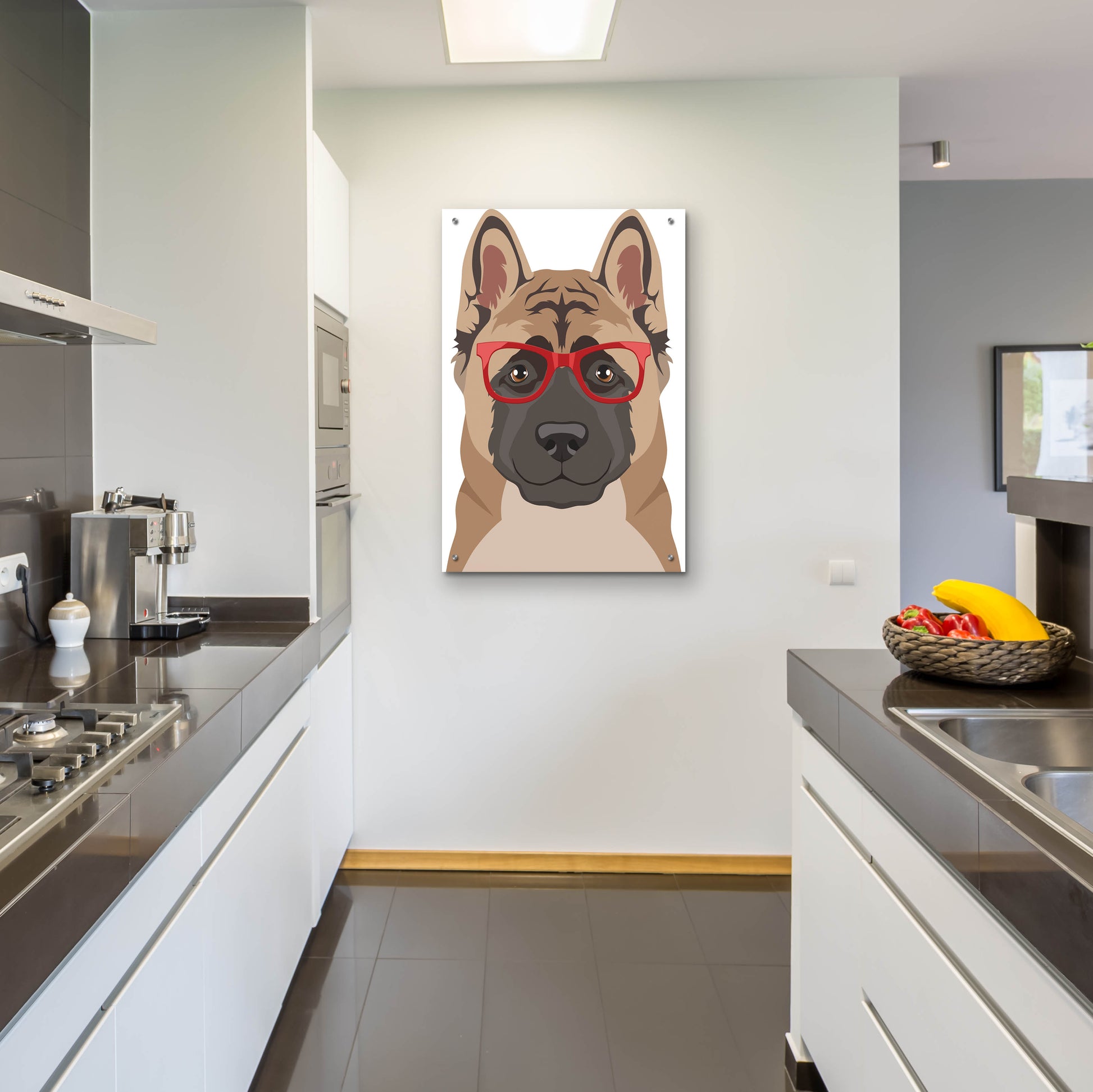 Epic Art 'Akita Wearing Hipster Glasses' by Olga and Alexey Drozdov, Acrylic Glass Wall Art,24x36