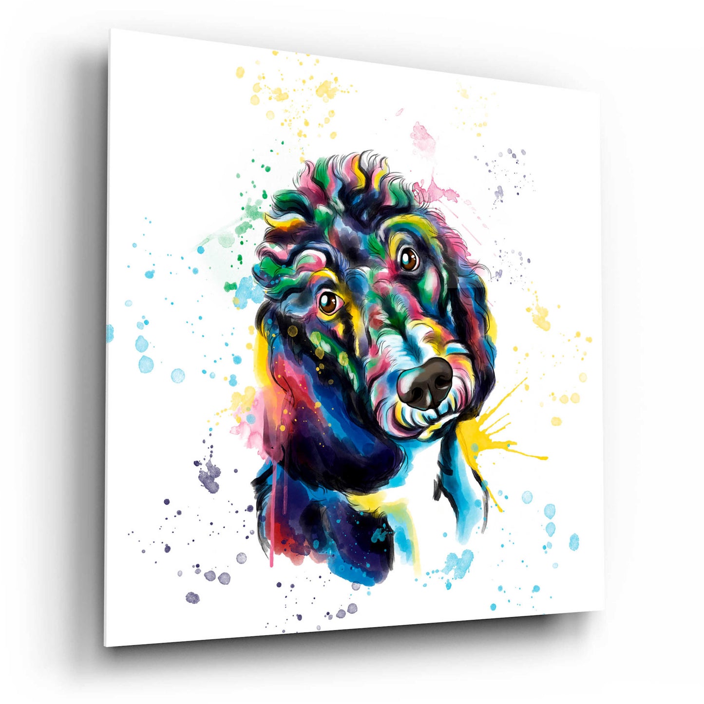 Epic Art 'Colorful Watercolor Poodle 2' by Furbaby Affiliates, Acrylic Glass Wall Art,12x12